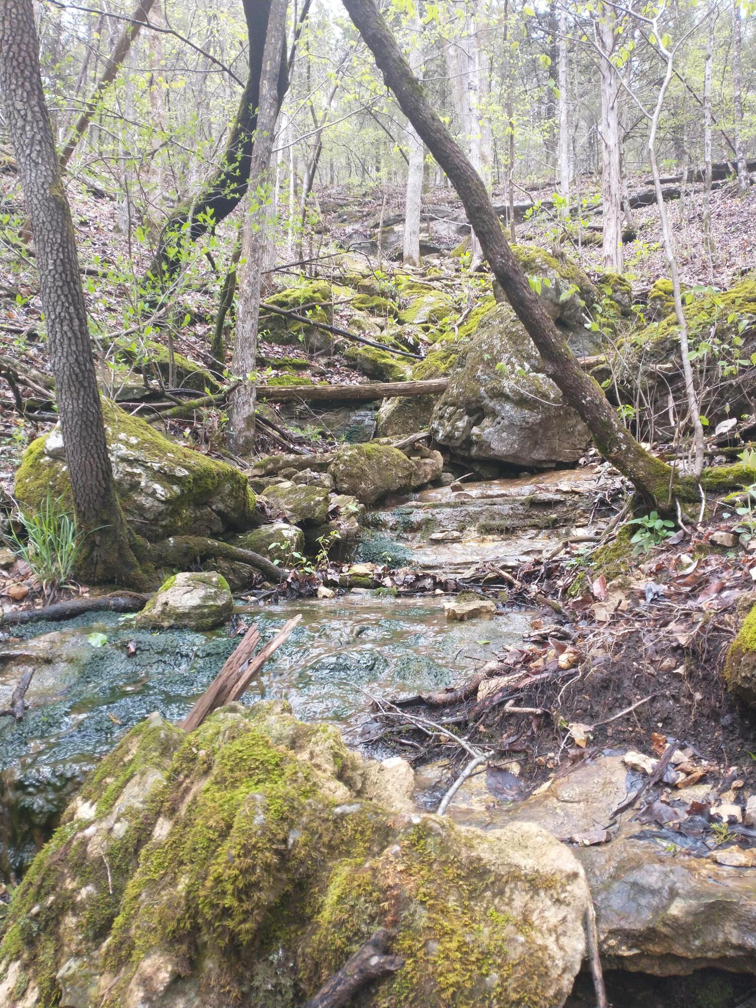 Photo 13 - Land for sale – Tract T  Ozark Road   Galena, MO