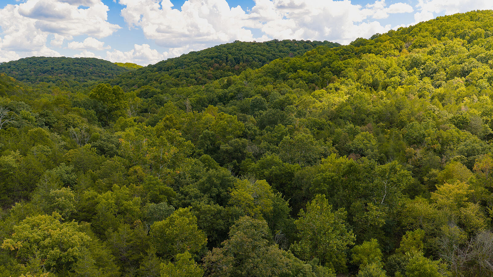 Photo 33 - Land for sale – Tract T  Ozark Road   Galena, MO
