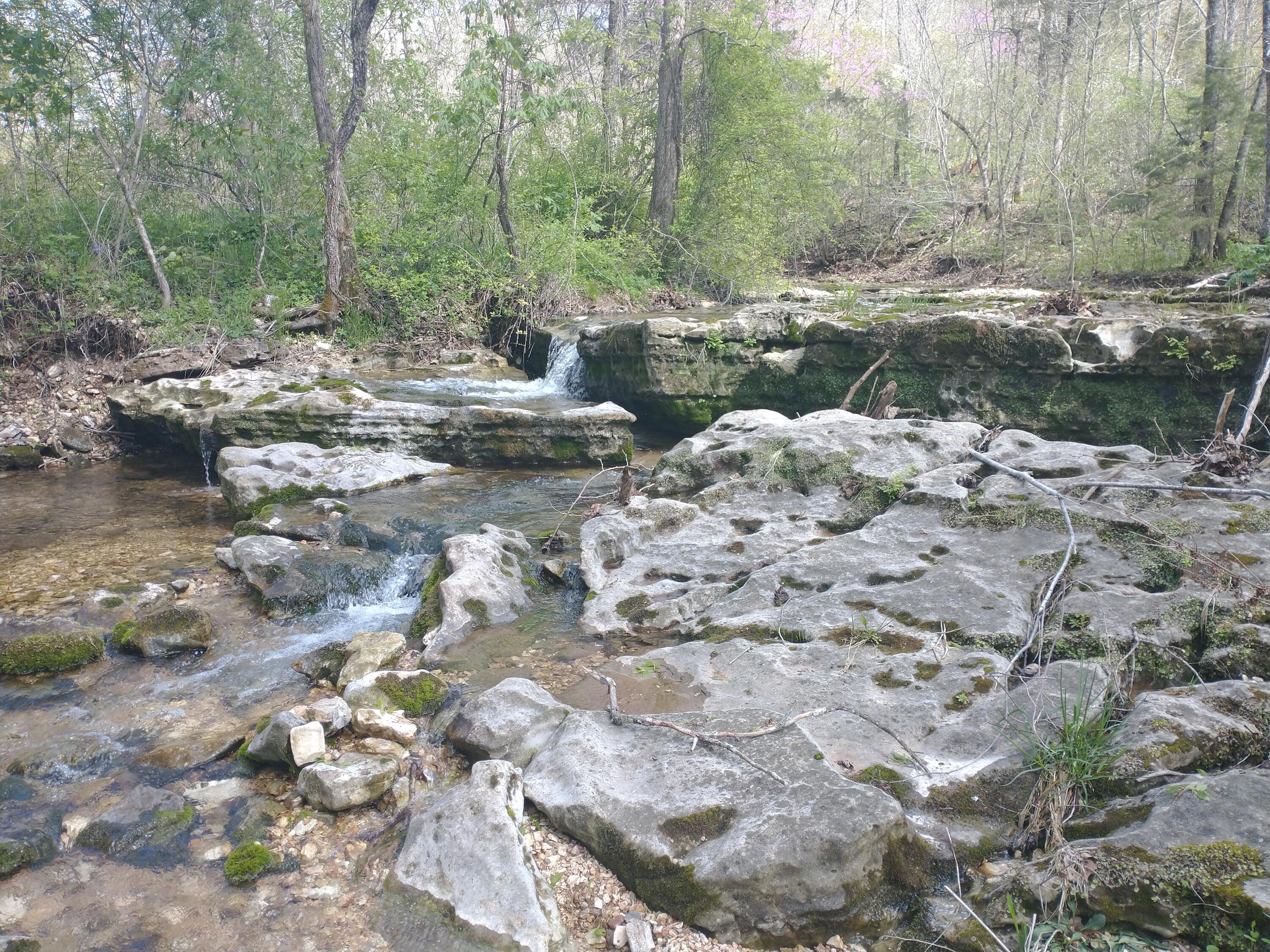 Photo 14 - Land for sale – Tract T  Ozark Road   Galena, MO
