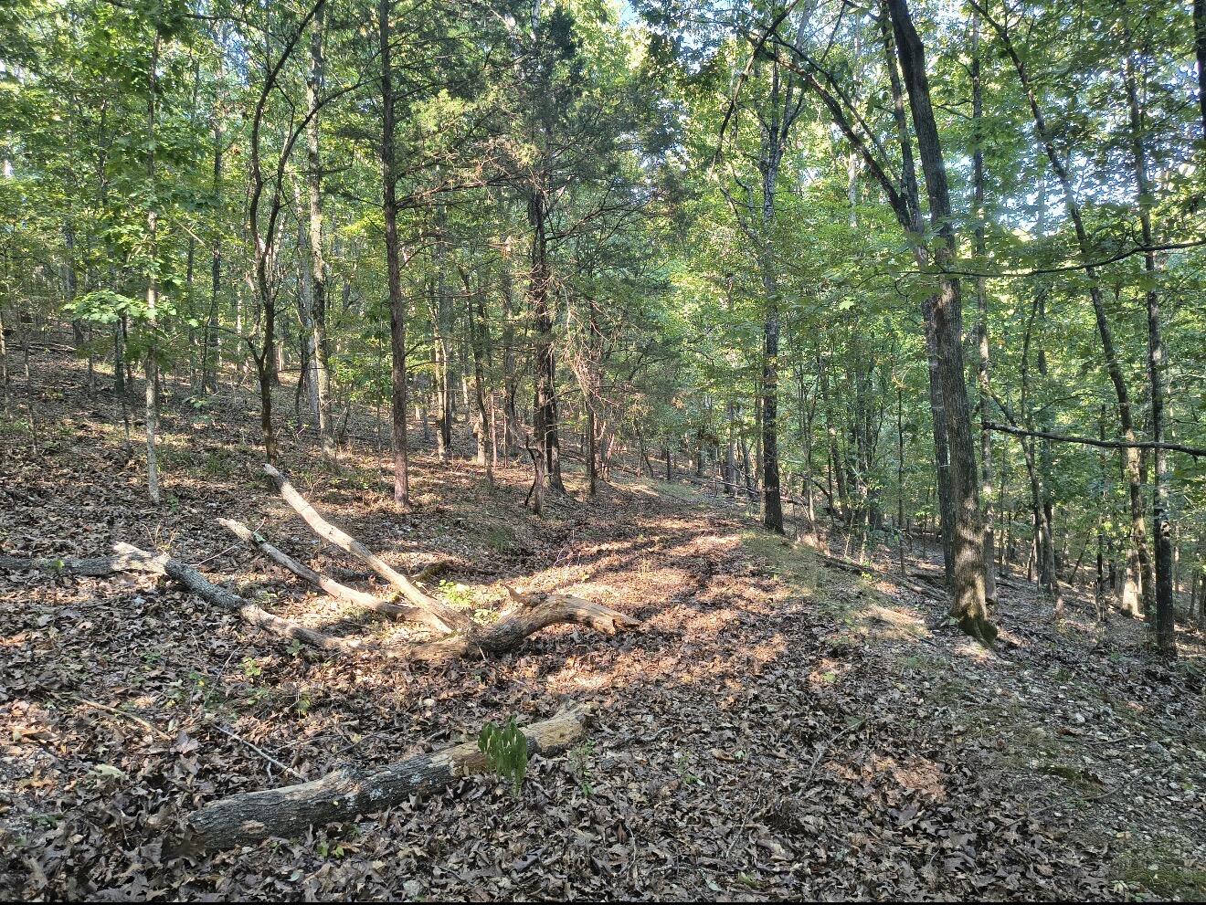 Photo 25 - Land for sale – Tract T  Ozark Road   Galena, MO
