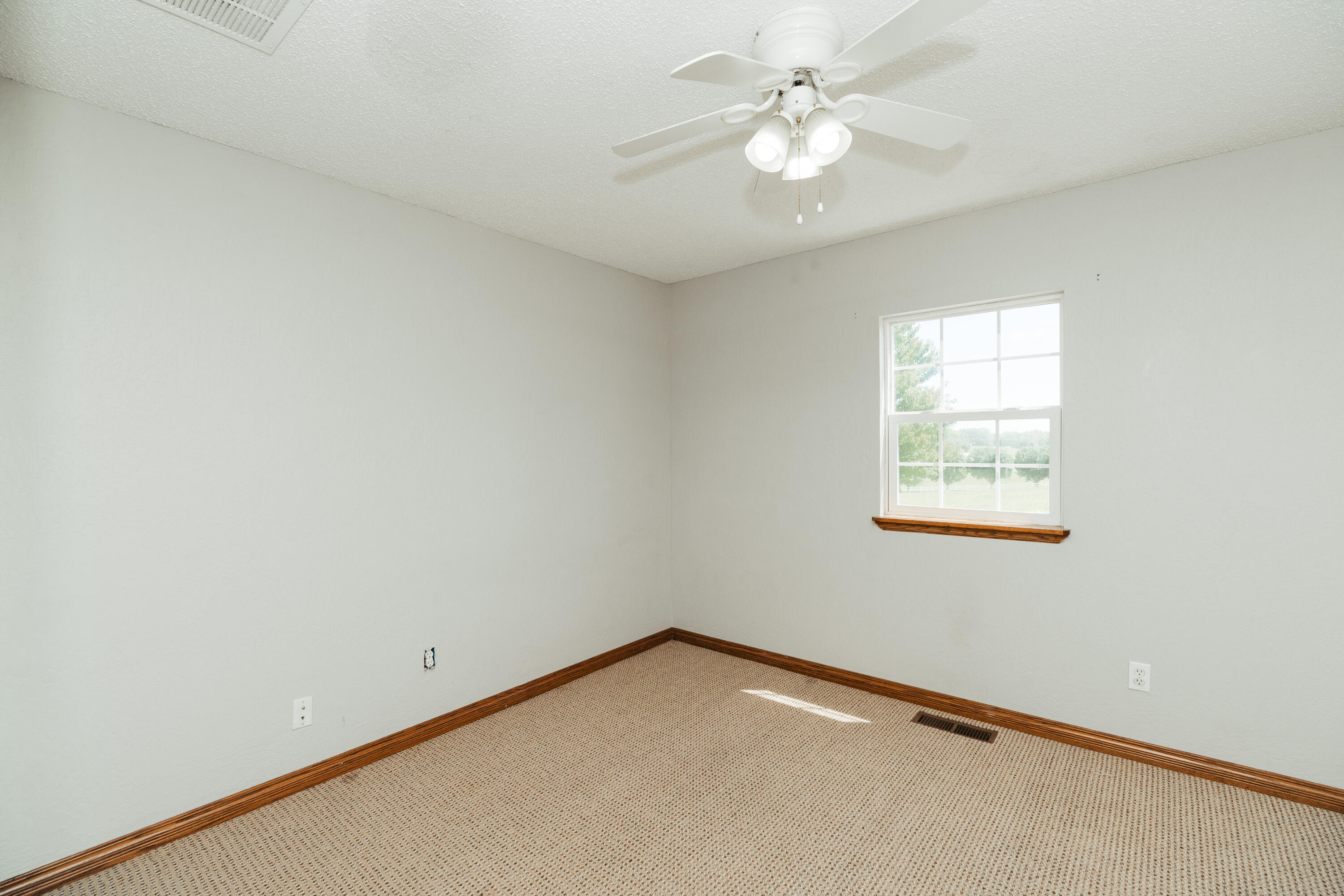 Photo 99 - Residential for sale – 4207 S Cheyenne Lane  Rogersville, MO