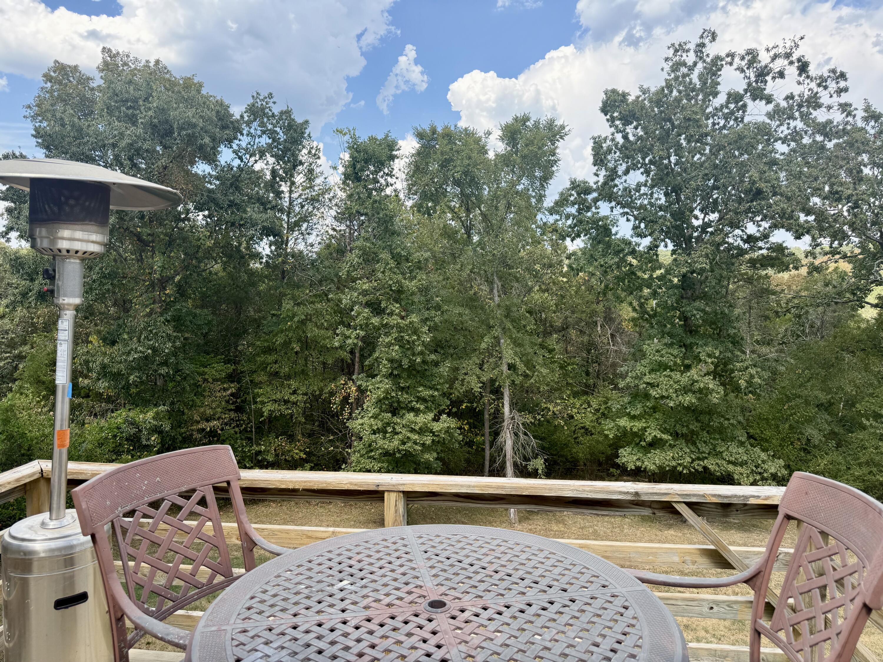 Photo 23 - Residential for sale – 187  Jessi Road  Forsyth, MO