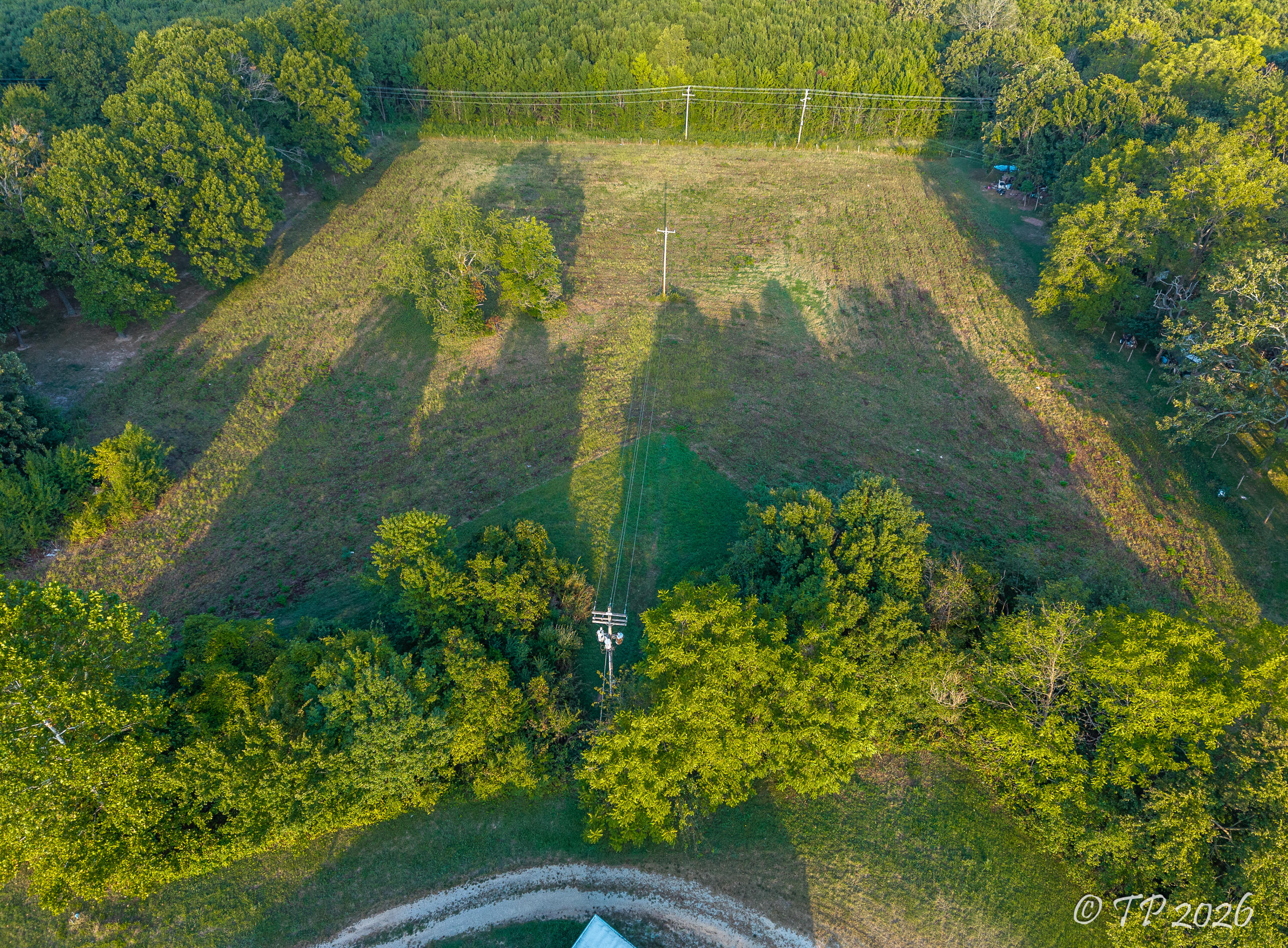 Photo 6 - Land for sale – 1753  Private Road 8650   West Plains, MO