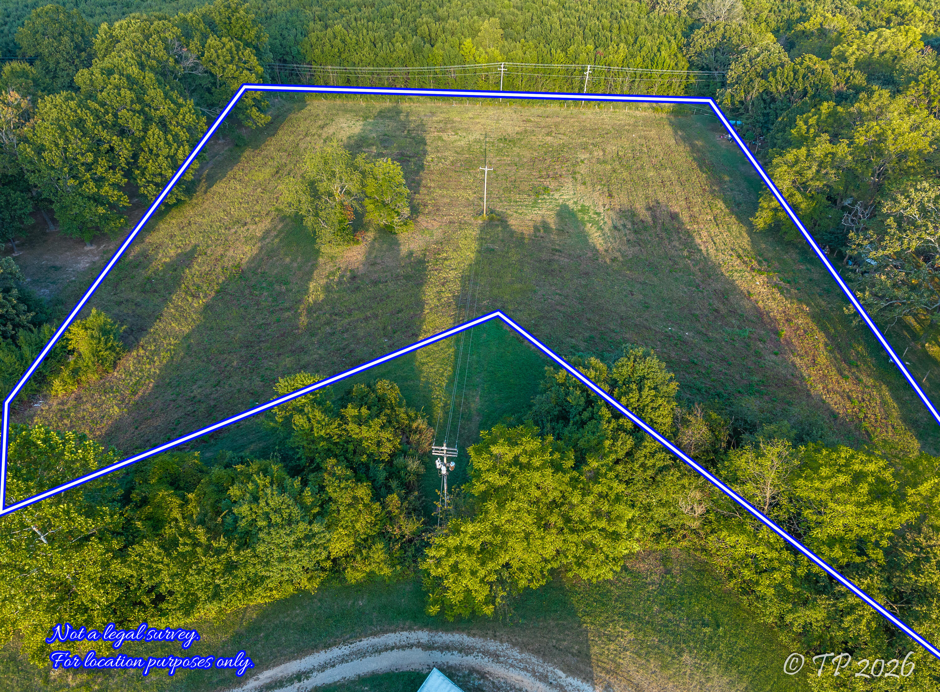 Photo 3 - Land for sale – 1753  Private Road 8650   West Plains, MO