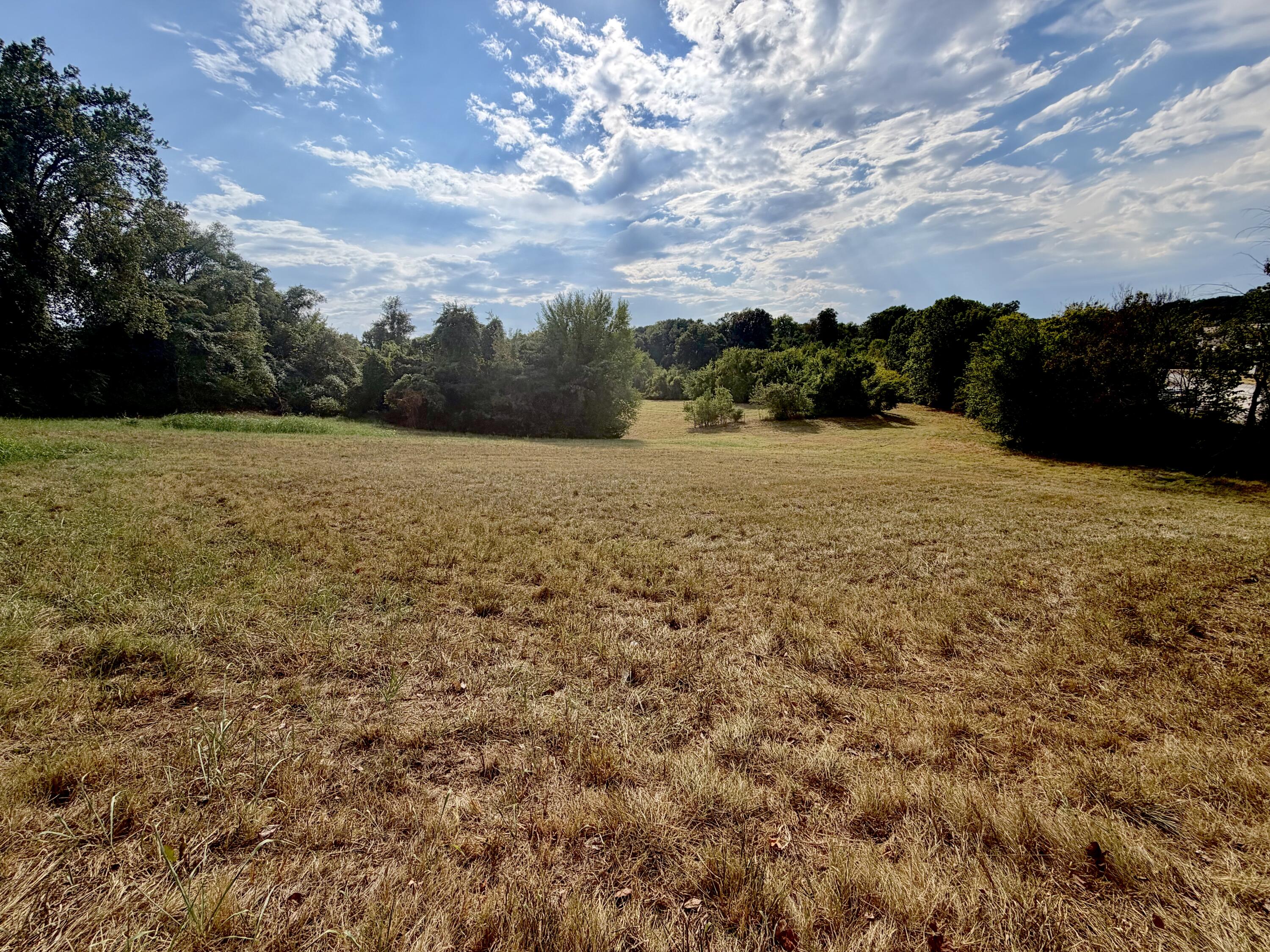 Photo 3 - Land for sale – 000  Fairground Road  Neosho, MO