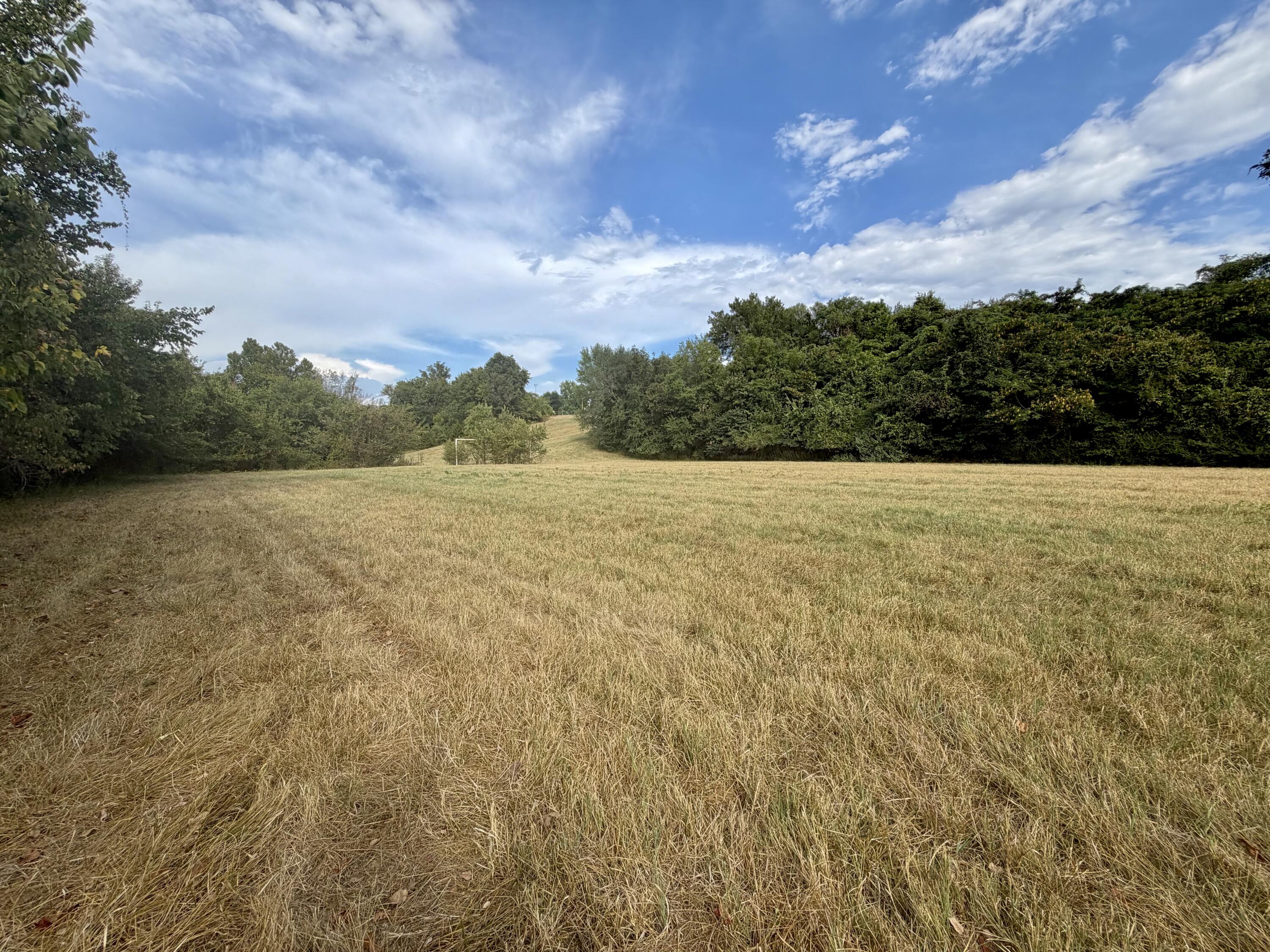 Land for sale – 000 Fairground Road Neosho, MO