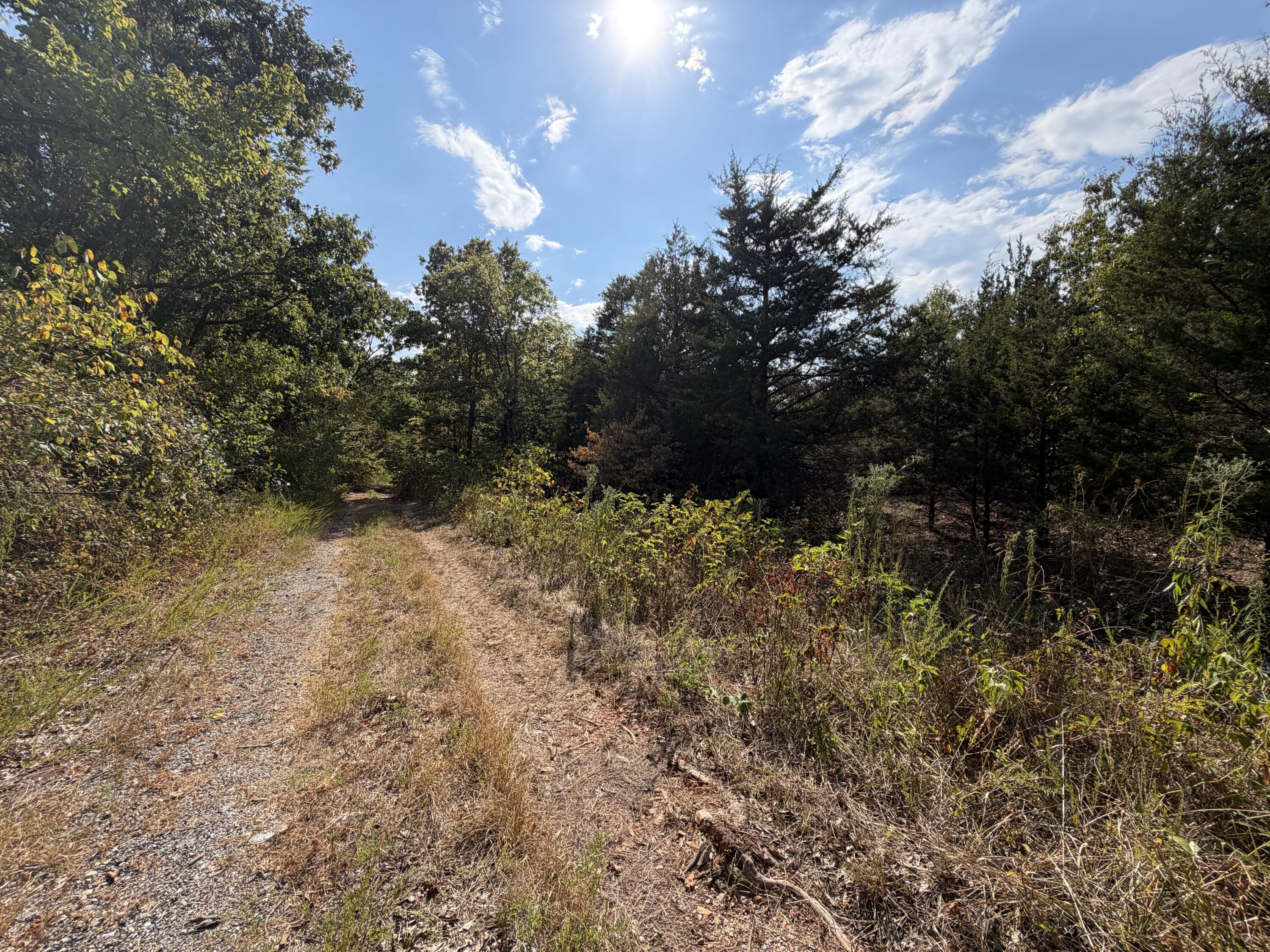 Photo 3 - Commercial Sale for sale – 000  Doniphan Drive  Neosho, MO