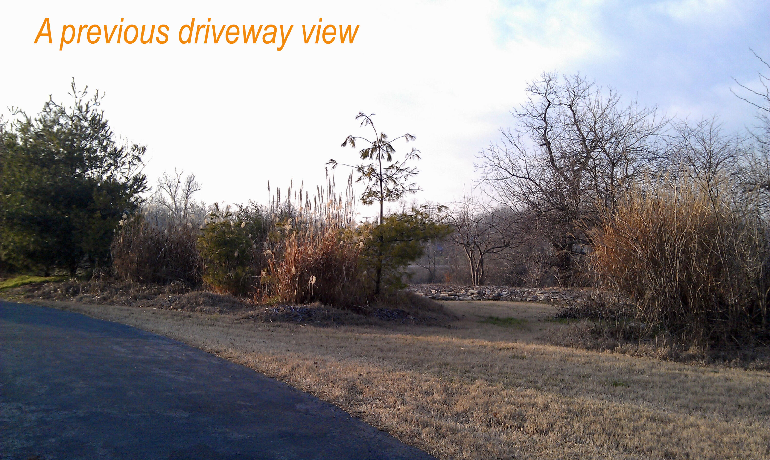 Photo 174 - Residential for sale – 4660 S Wilsons Creek Boulevard  Republic, MO
