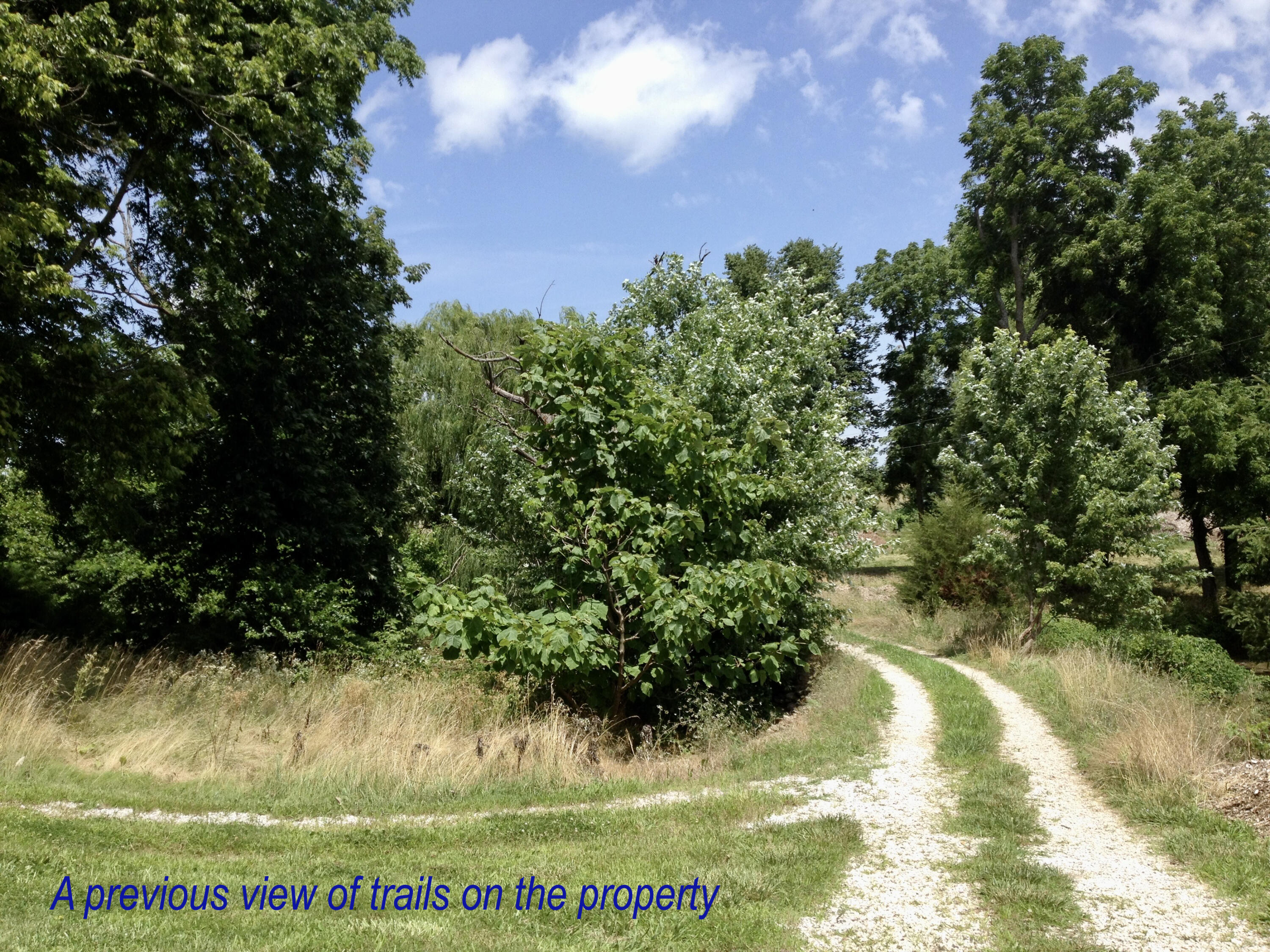 Photo 200 - Residential for sale – 4660 S Wilsons Creek Boulevard  Republic, MO