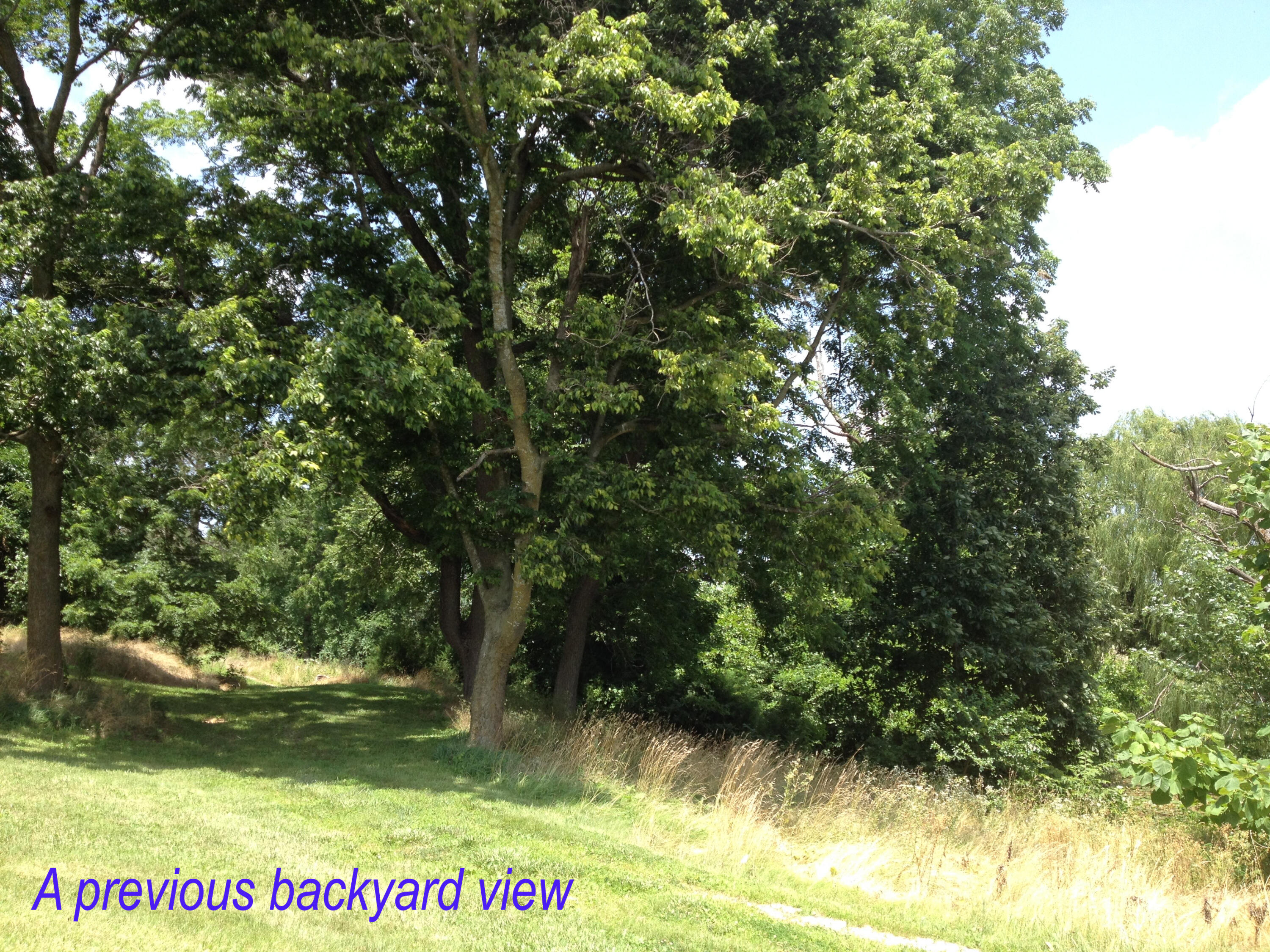 Photo 154 - Farm for sale – 4660 S Wilsons Creek Boulevard  Republic, MO