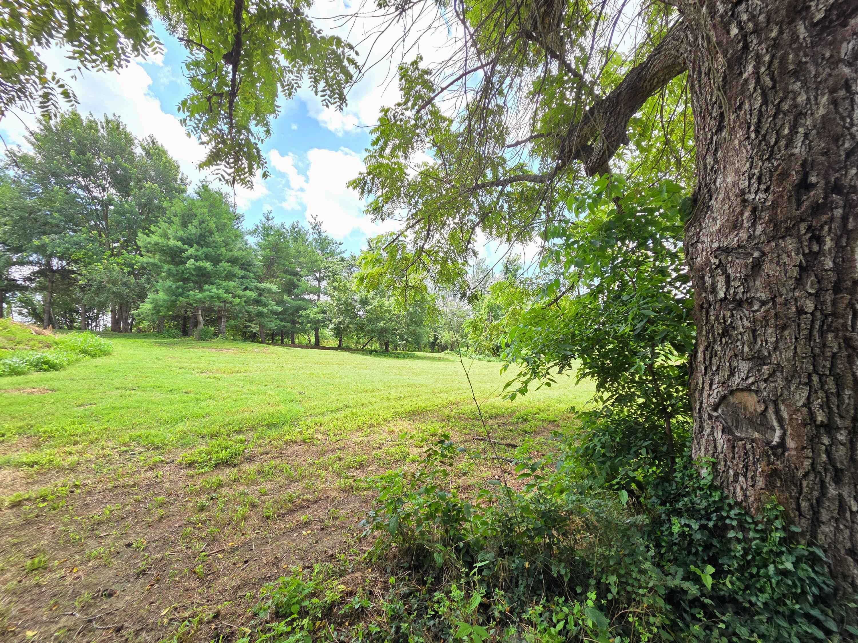 Photo 43 - Farm for sale – 4660 S Wilsons Creek Boulevard  Republic, MO
