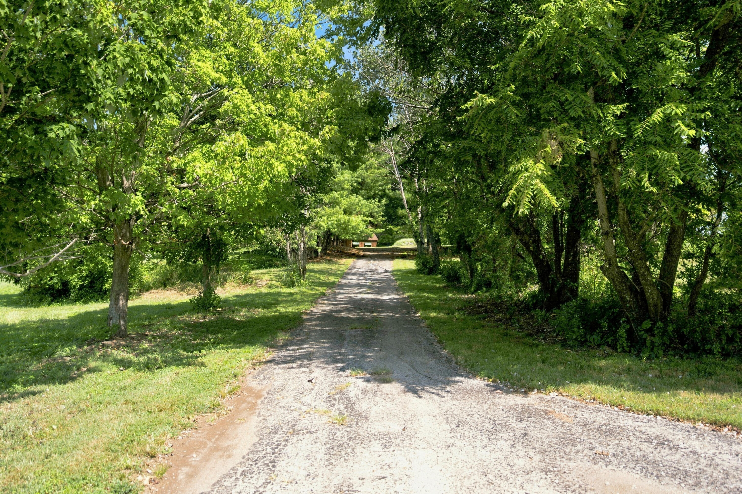 Photo 49 - Farm for sale – 4660 S Wilsons Creek Boulevard  Republic, MO