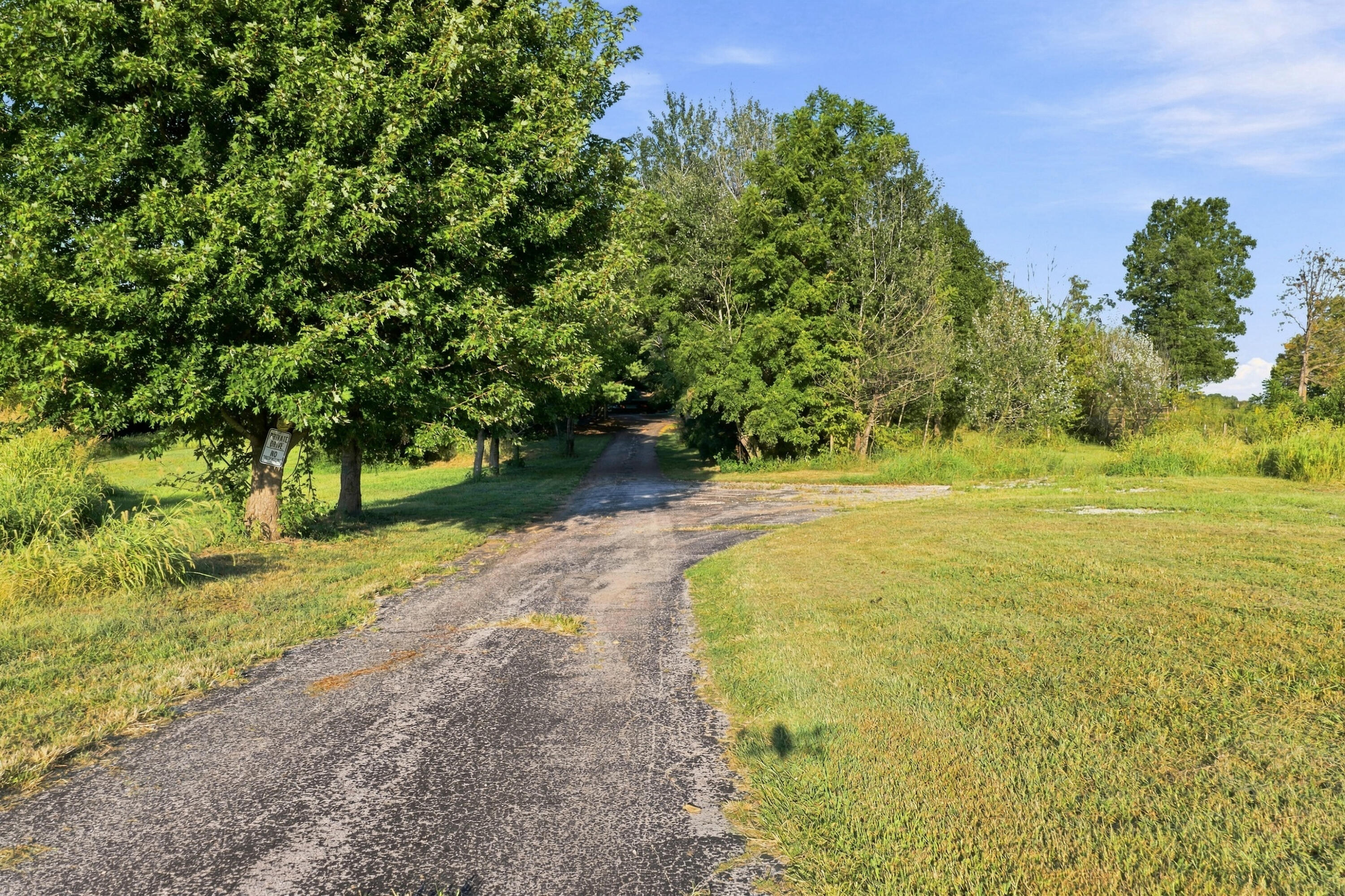 Photo 48 - Farm for sale – 4660 S Wilsons Creek Boulevard  Republic, MO