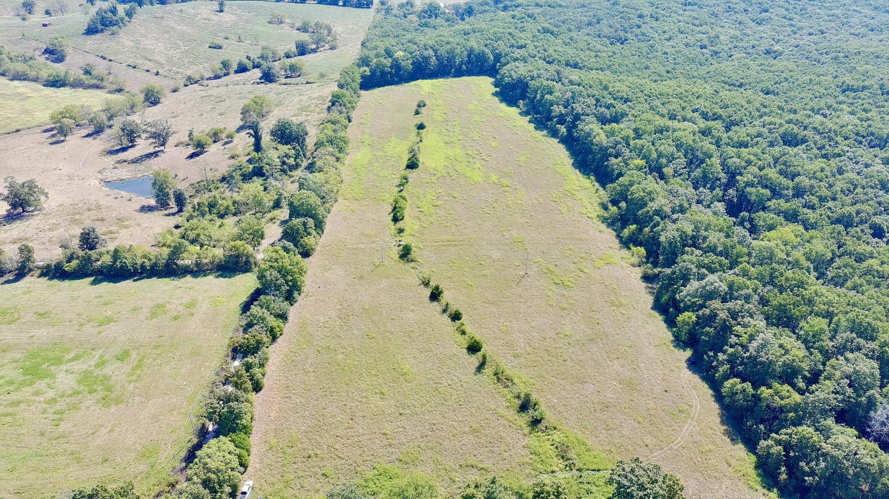 Photo 9 - Land for sale – 0000  County Rd 132   Norwood, MO