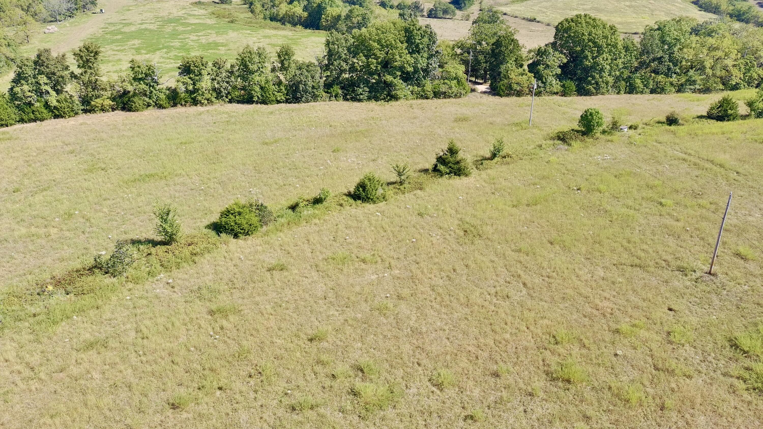 Photo 11 - Land for sale – 0000  County Rd 132   Norwood, MO
