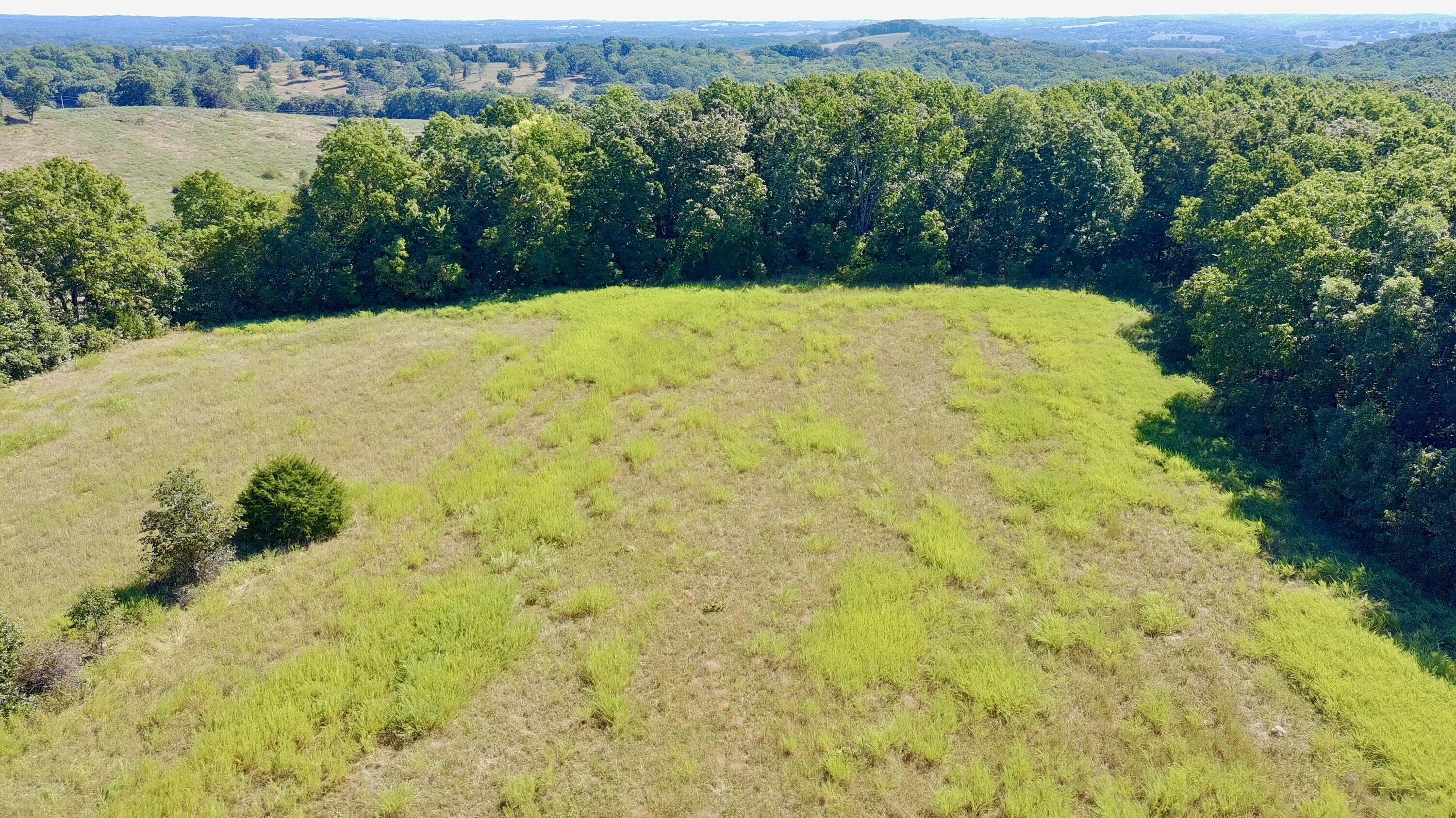 Photo 5 - Land for sale – 0000  County Rd 132   Norwood, MO