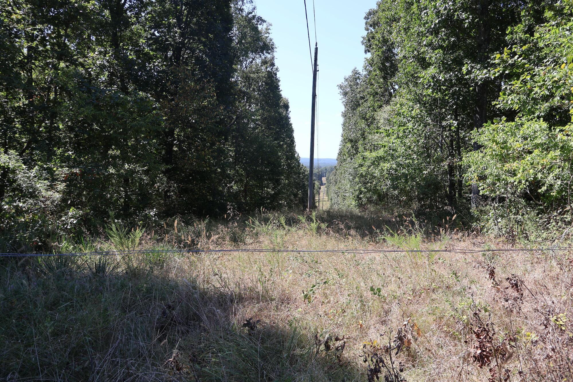 Photo 23 - Land for sale – 0000  County Rd 132   Norwood, MO