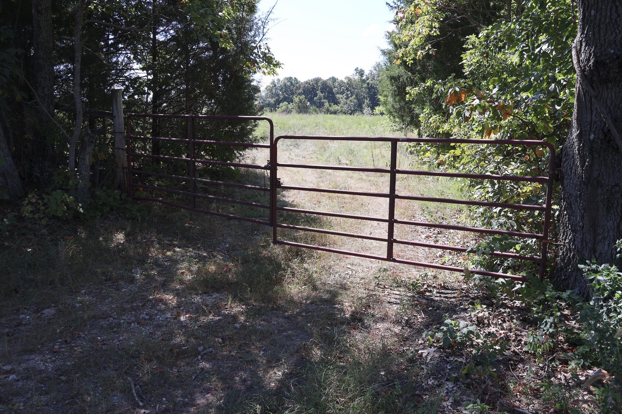 Photo 3 - Land for sale – 0000  County Rd 132   Norwood, MO