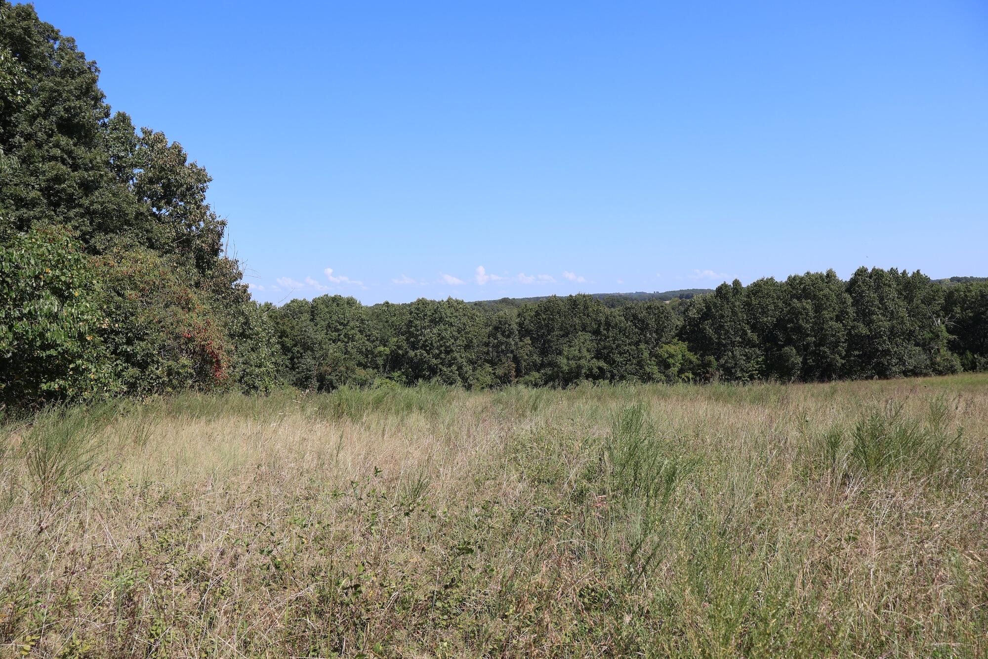 Photo 30 - Land for sale – 0000  County Rd 132   Norwood, MO