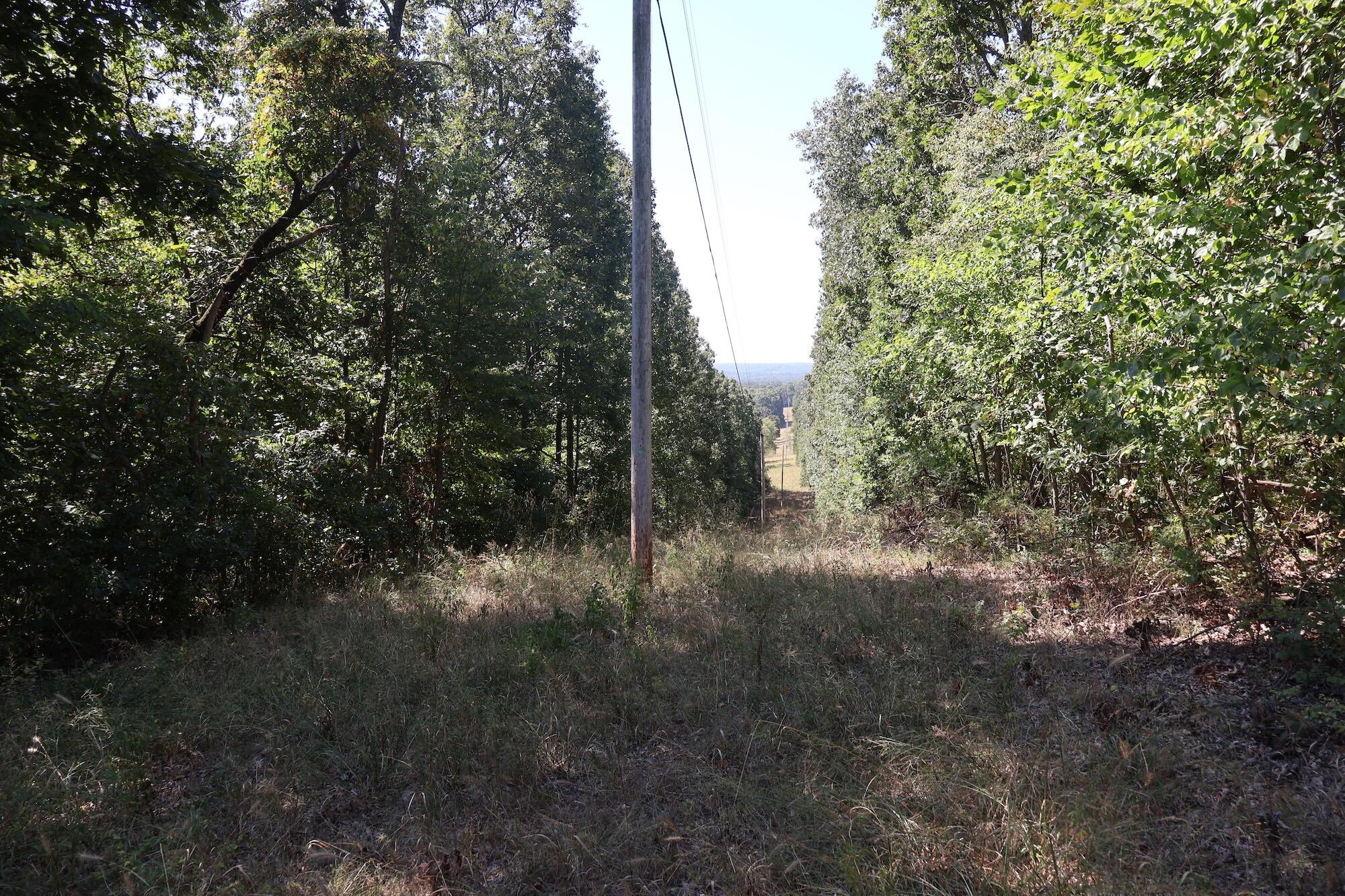 Photo 27 - Land for sale – 0000  County Rd 132   Norwood, MO