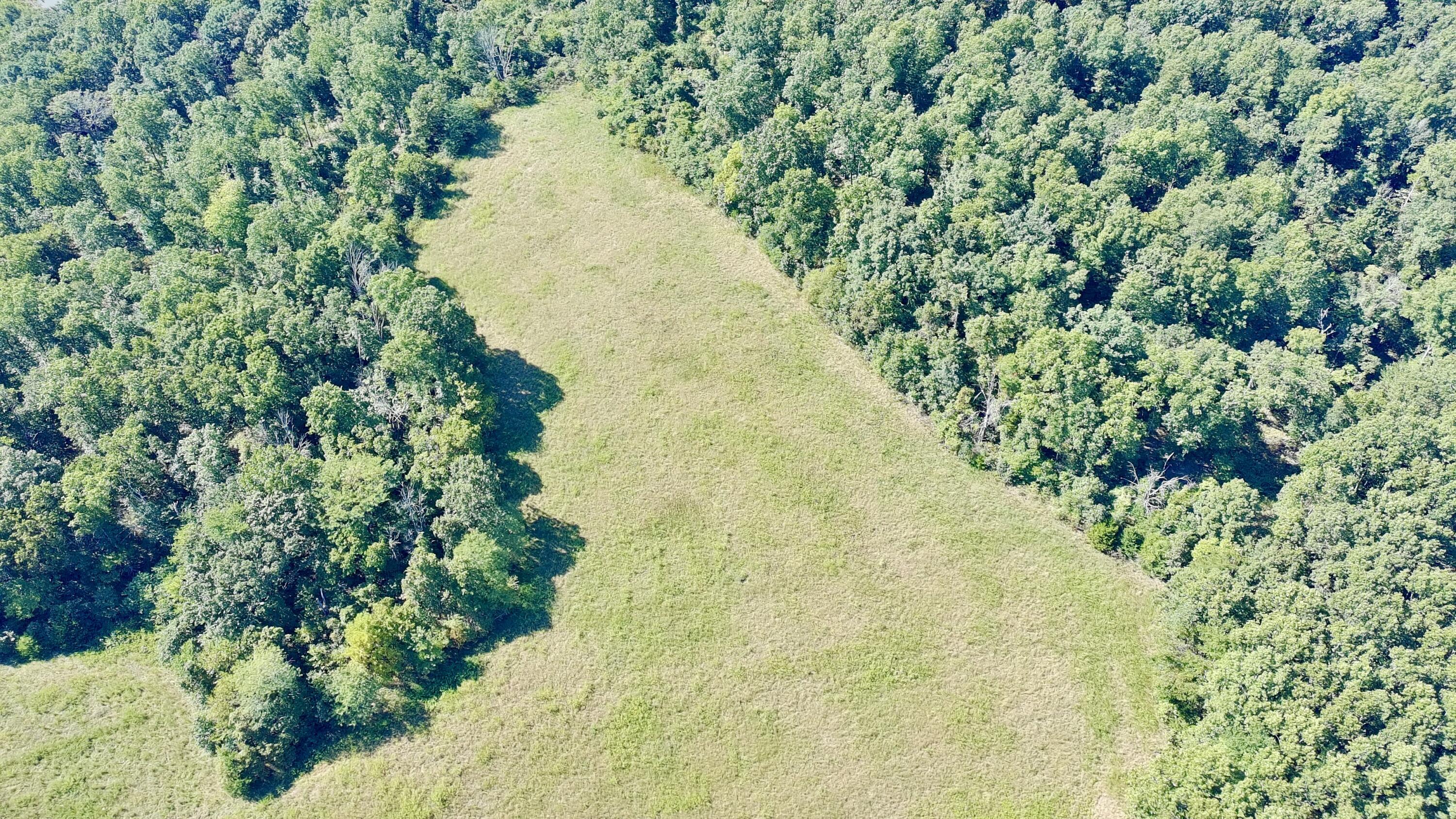 Photo 8 - Land for sale – 0000  County Rd 132   Norwood, MO