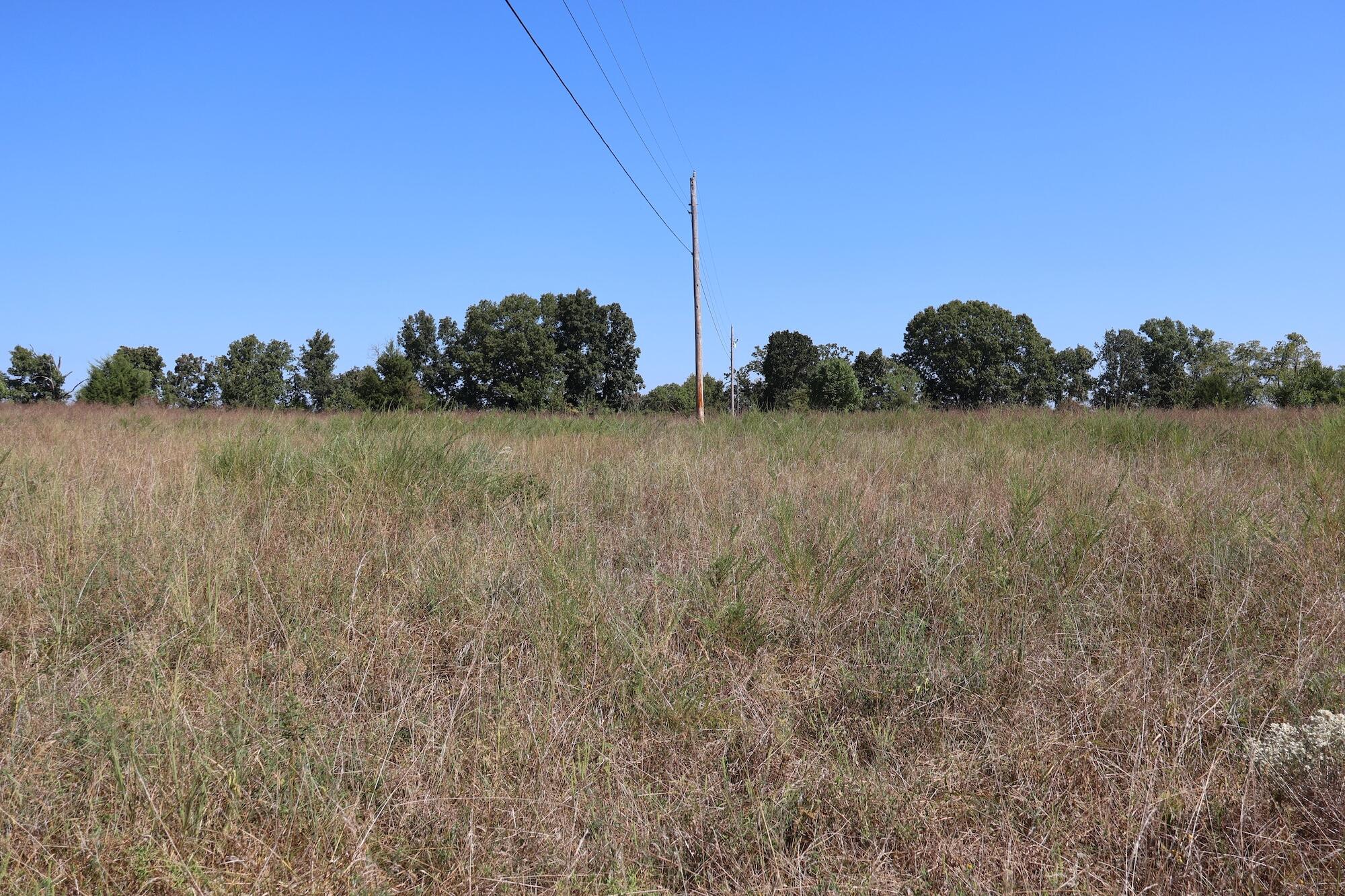 Photo 13 - Land for sale – 0000  County Rd 132   Norwood, MO