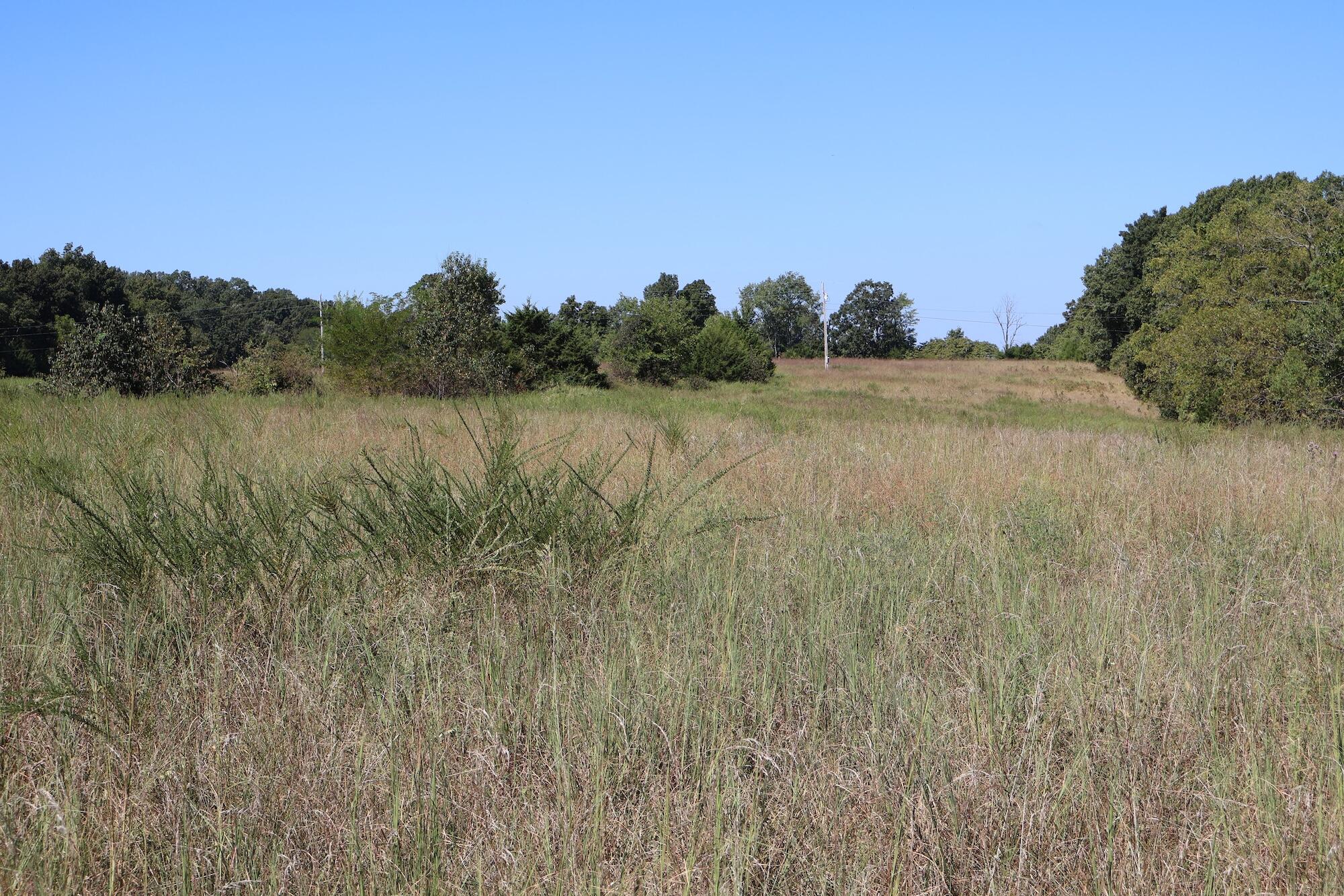 Photo 16 - Land for sale – 0000  County Rd 132   Norwood, MO