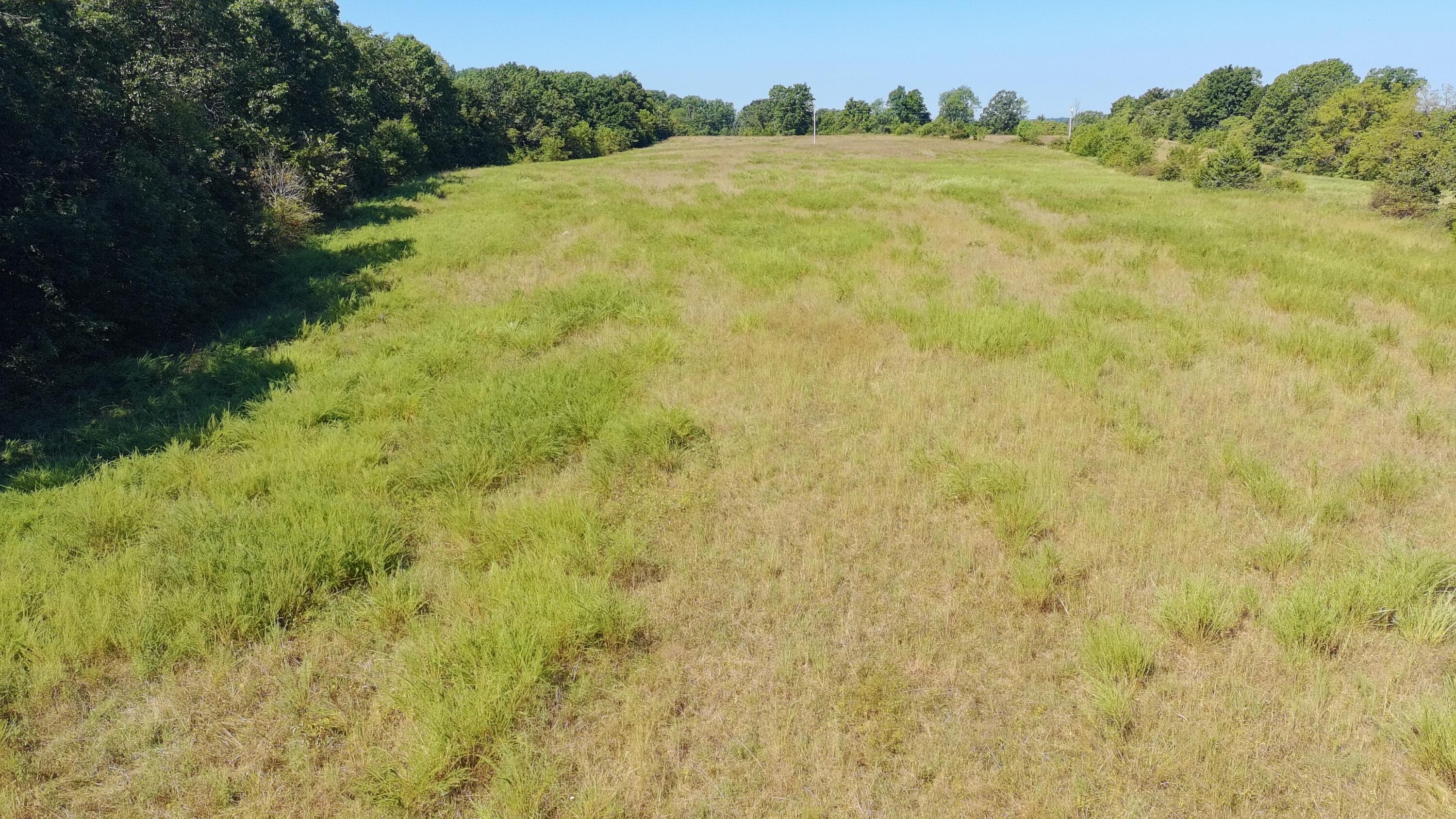 Land for sale – 0000  County Rd 132   Norwood, MO