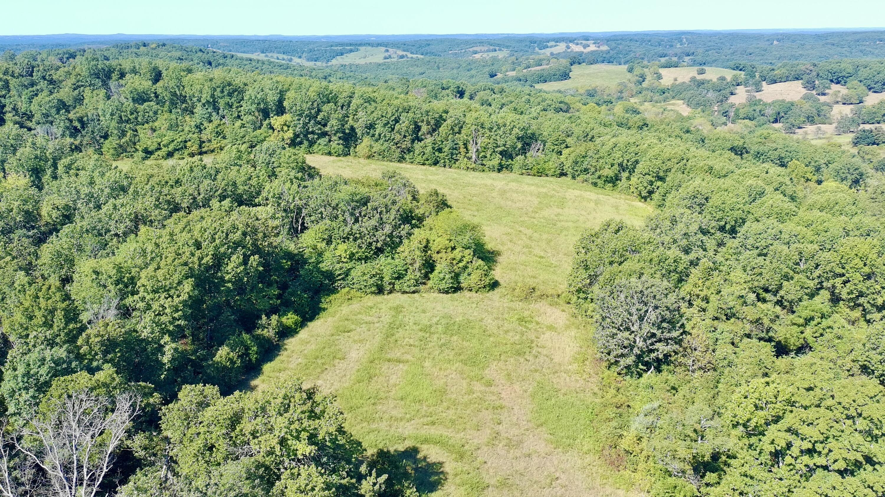 Photo 10 - Land for sale – 0000  County Rd 132   Norwood, MO