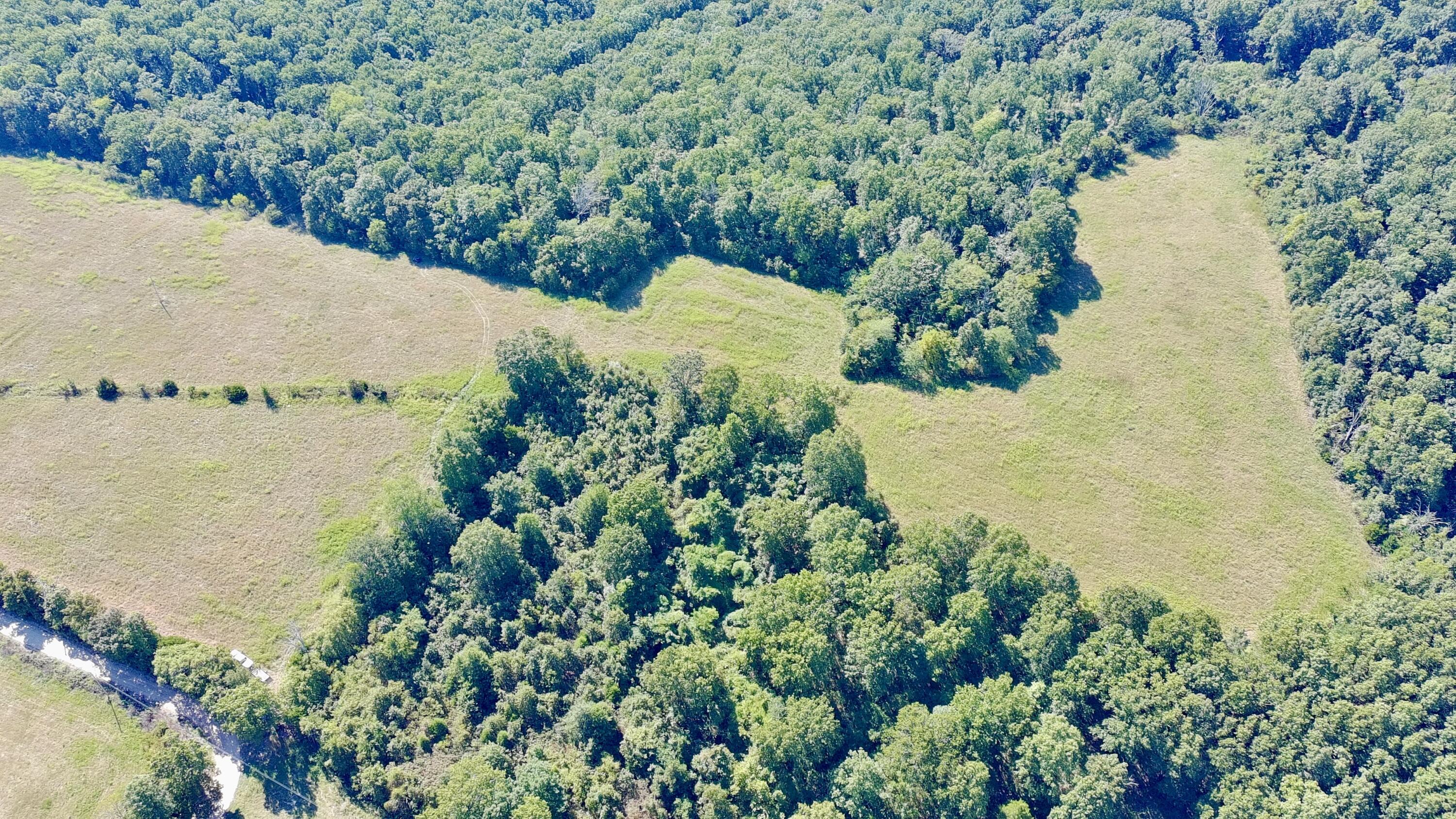 Photo 7 - Land for sale – 0000  County Rd 132   Norwood, MO