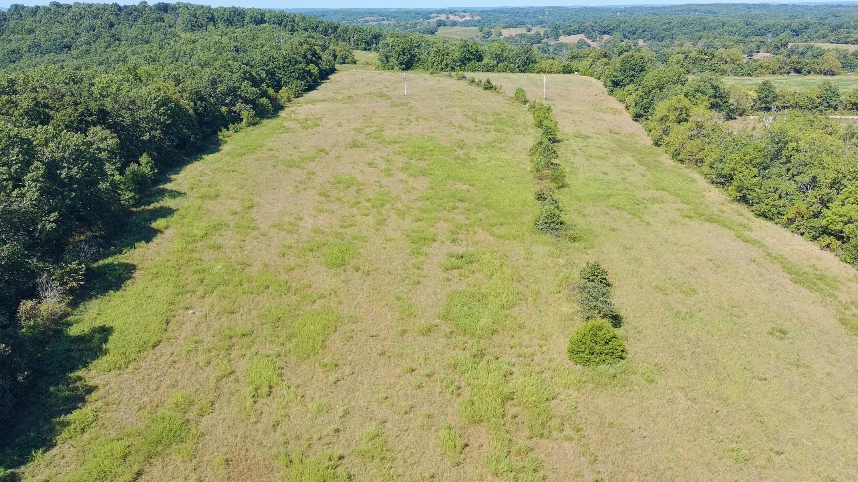 Photo 4 - Land for sale – 0000  County Rd 132   Norwood, MO