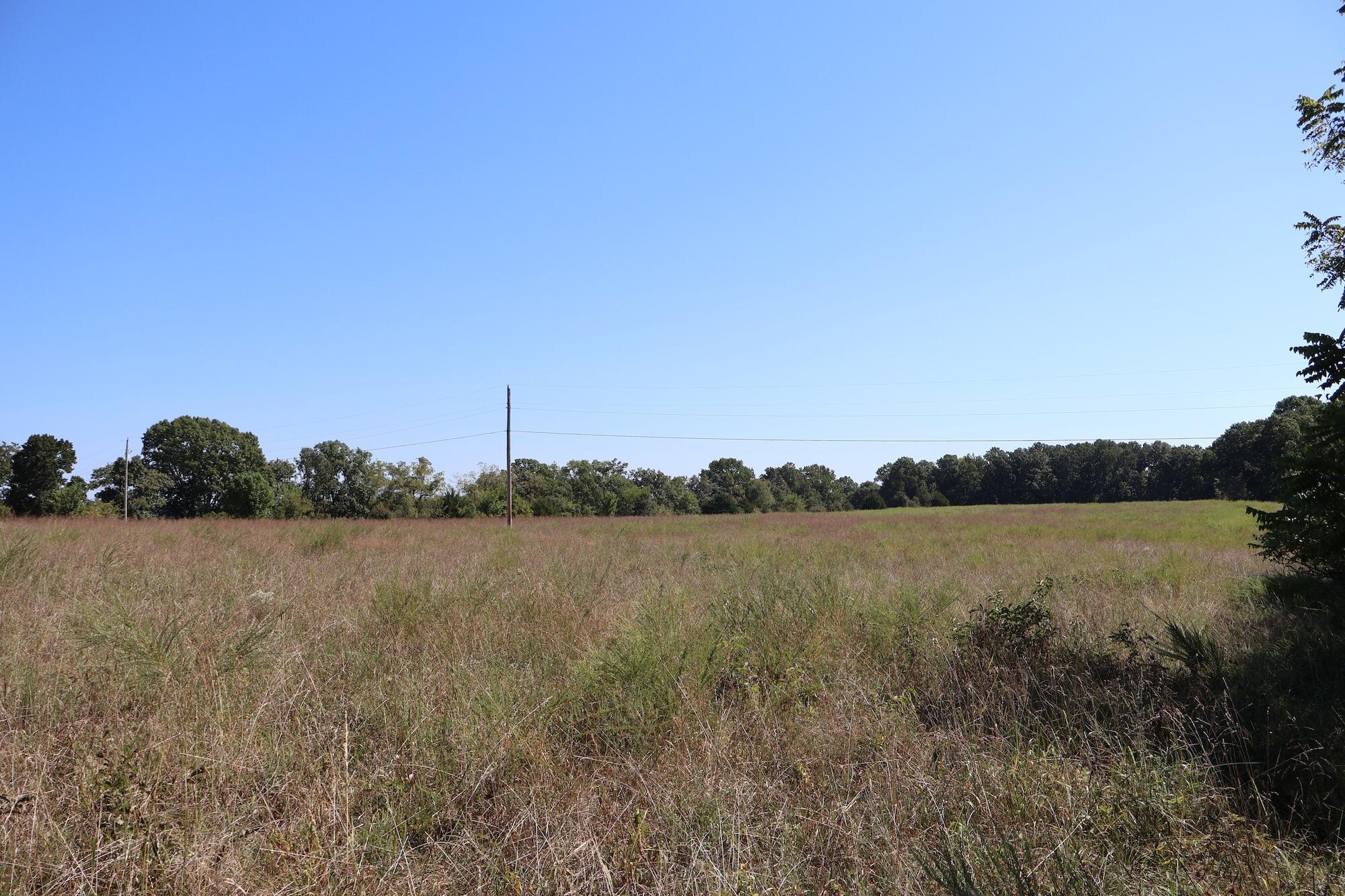 Photo 12 - Land for sale – 0000  County Rd 132   Norwood, MO
