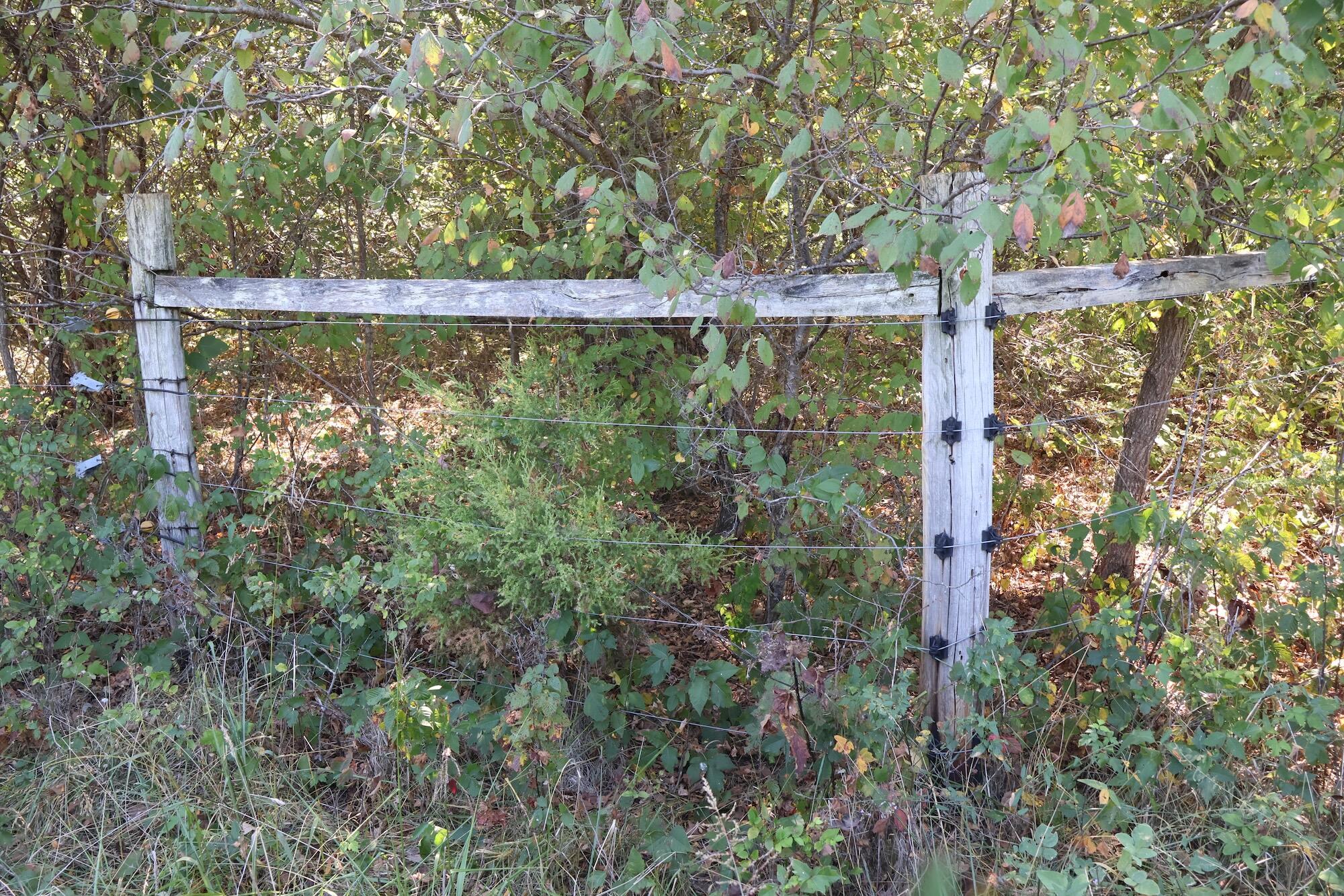 Photo 29 - Land for sale – 0000  County Rd 132   Norwood, MO