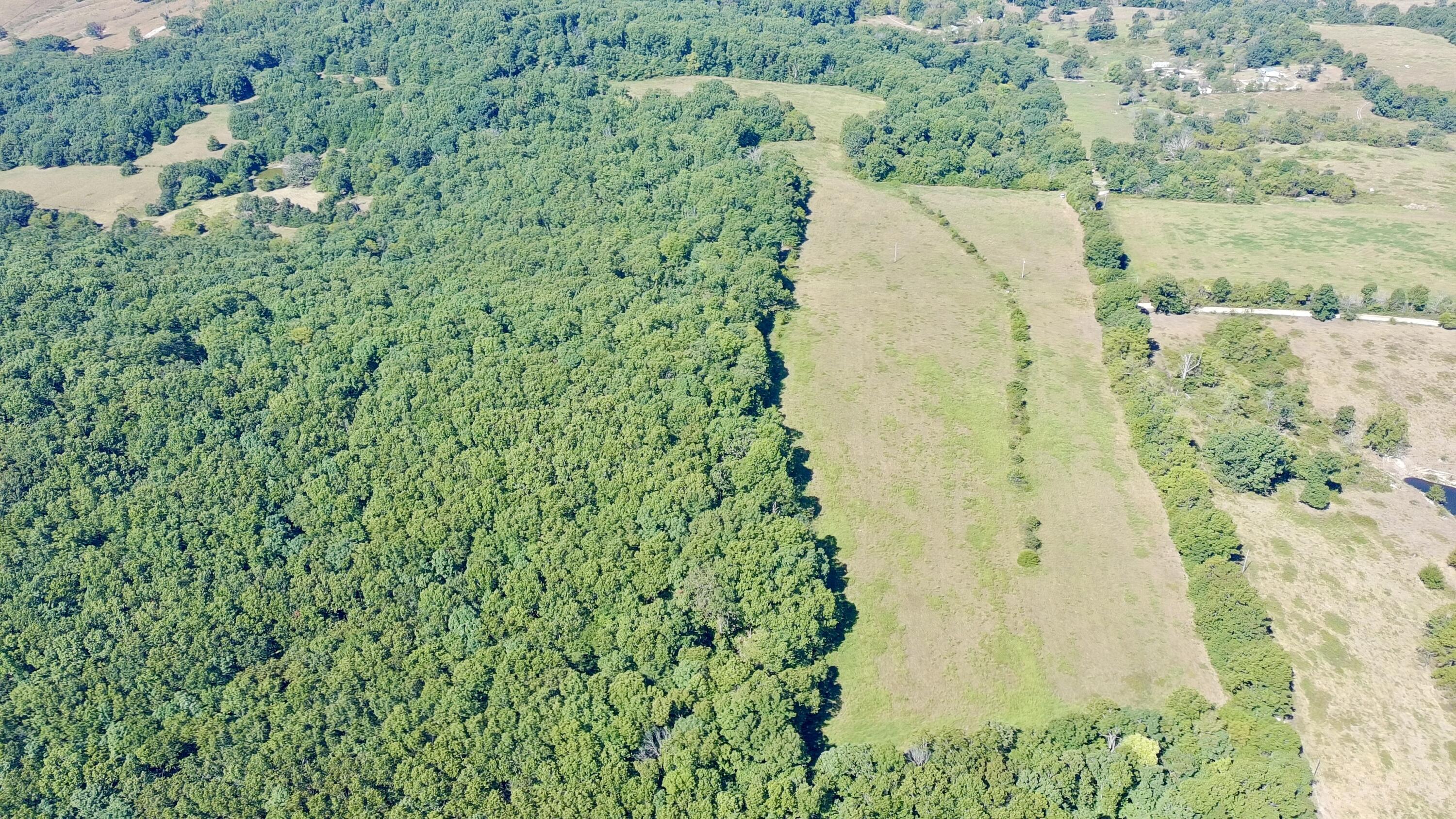 Photo 6 - Land for sale – 0000  County Rd 132   Norwood, MO