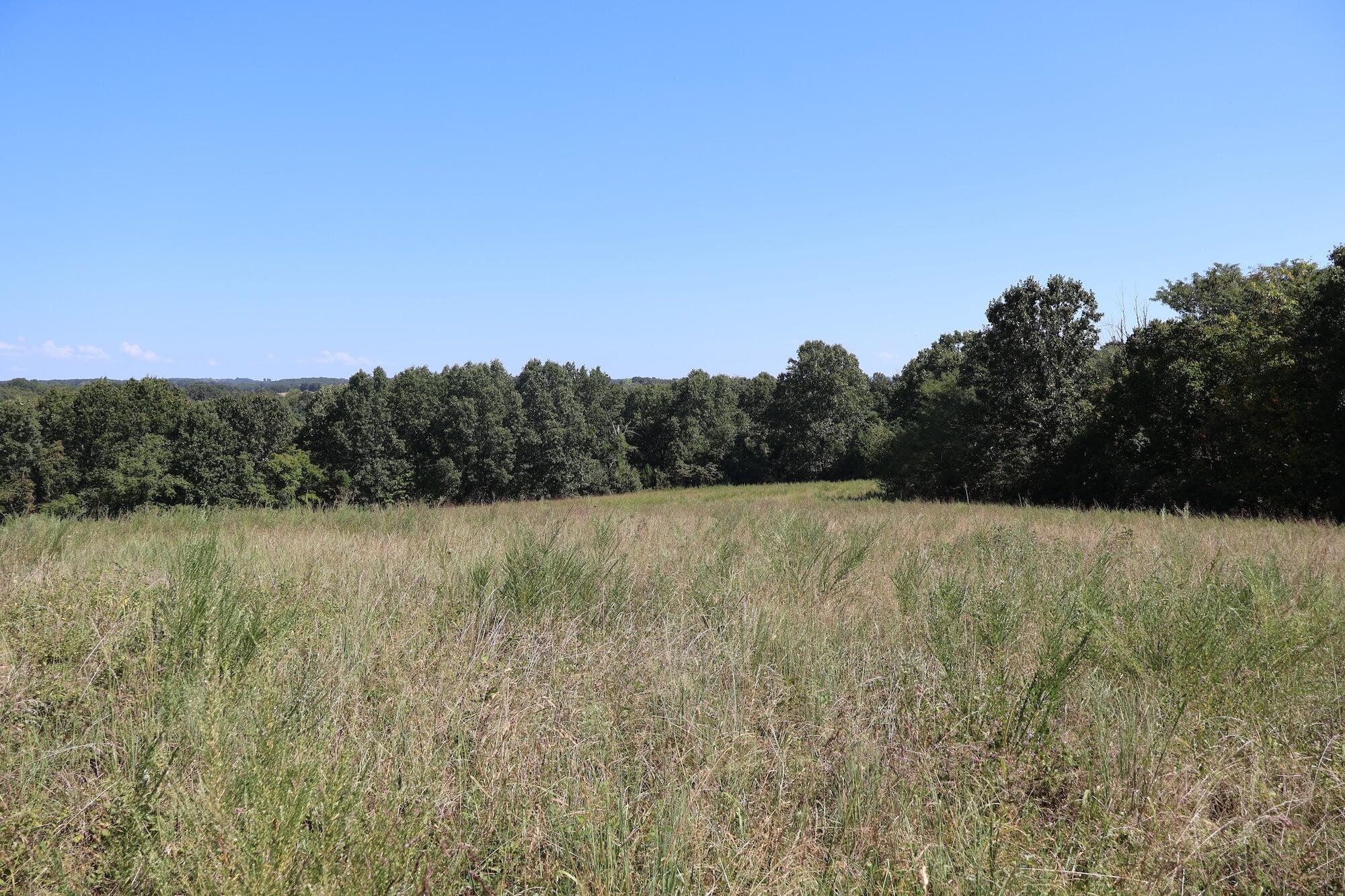 Photo 31 - Land for sale – 0000  County Rd 132   Norwood, MO