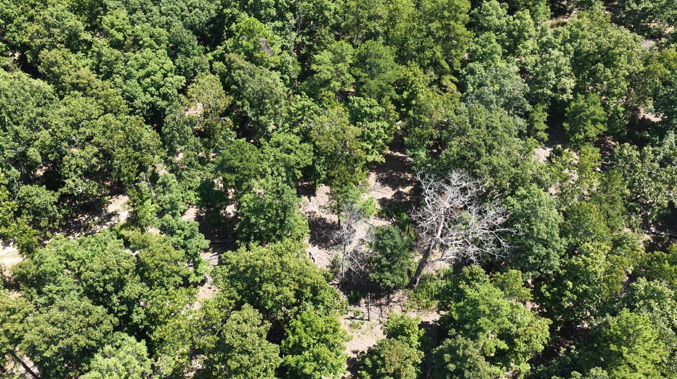 Photo 10 - Land for sale – 0000  County Road 422-17   Birch Tree, MO
