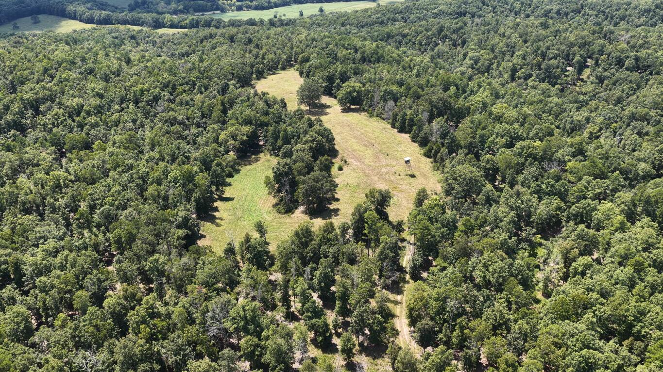 Land for sale – 0000  County Road 422-17   Birch Tree, MO