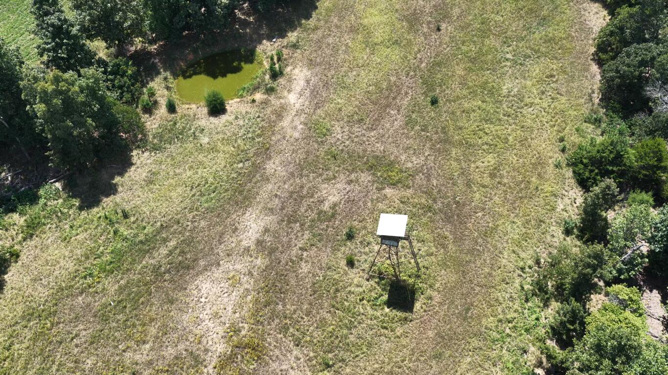Photo 9 - Land for sale – 0000  County Road 422-17   Birch Tree, MO