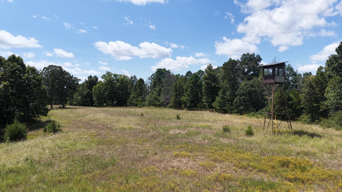 Photo 3 - Land for sale – 0000  County Road 422-17   Birch Tree, MO