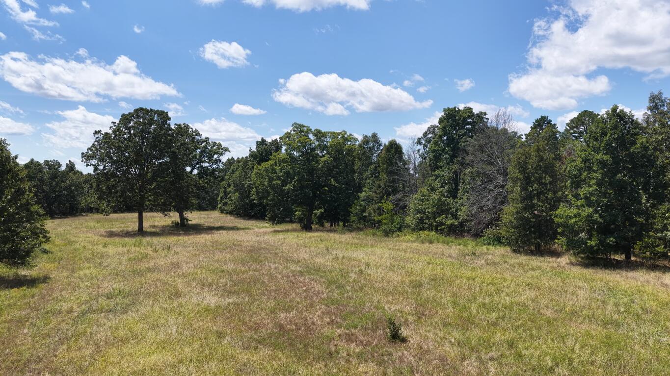 Photo 6 - Land for sale – 0000  County Road 422-17   Birch Tree, MO