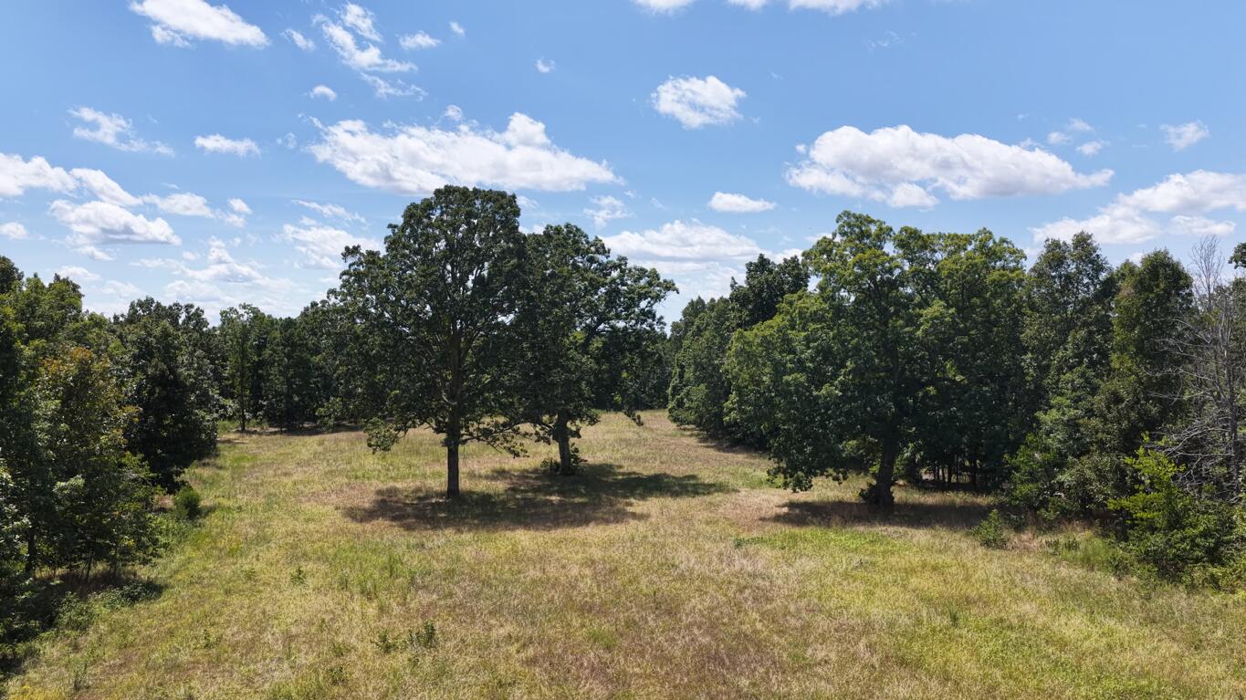 Photo 7 - Land for sale – 0000  County Road 422-17   Birch Tree, MO