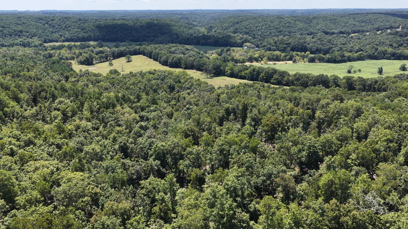 Photo 11 - Land for sale – 0000  County Road 422-17   Birch Tree, MO