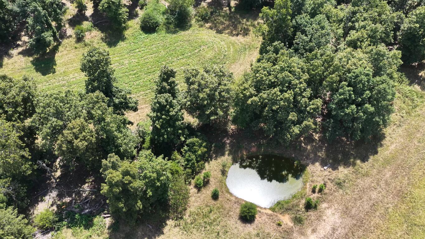 Photo 8 - Land for sale – 0000  County Road 422-17   Birch Tree, MO