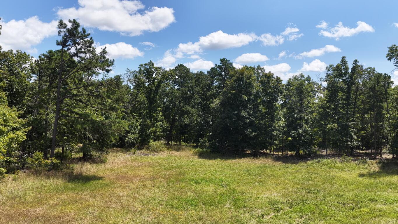 Photo 5 - Land for sale – 0000  County Road 422-17   Birch Tree, MO