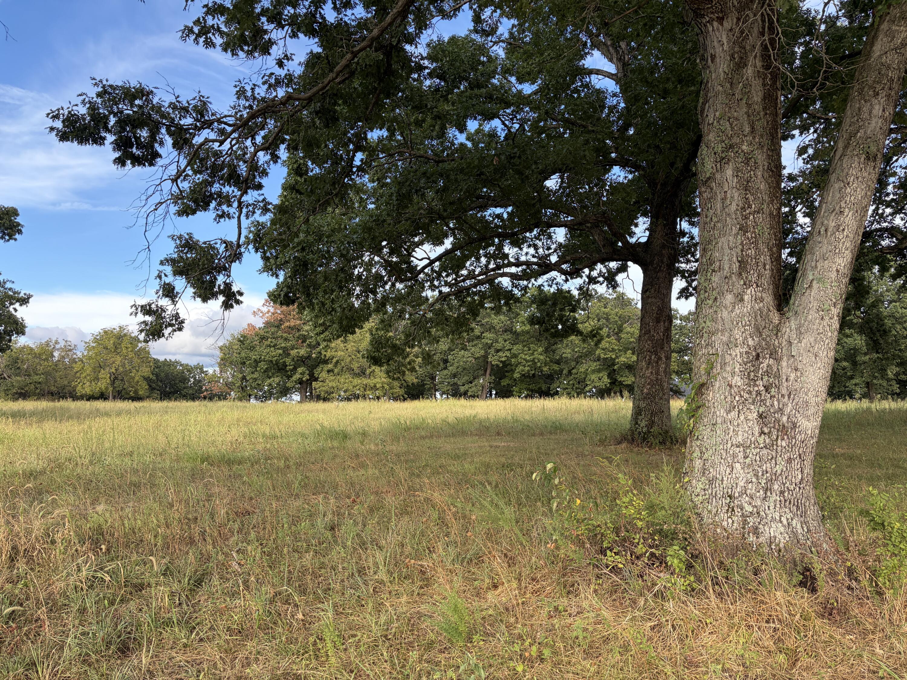 Photo 6 - Land for sale – 006 S 1481 Road  Stockton, MO