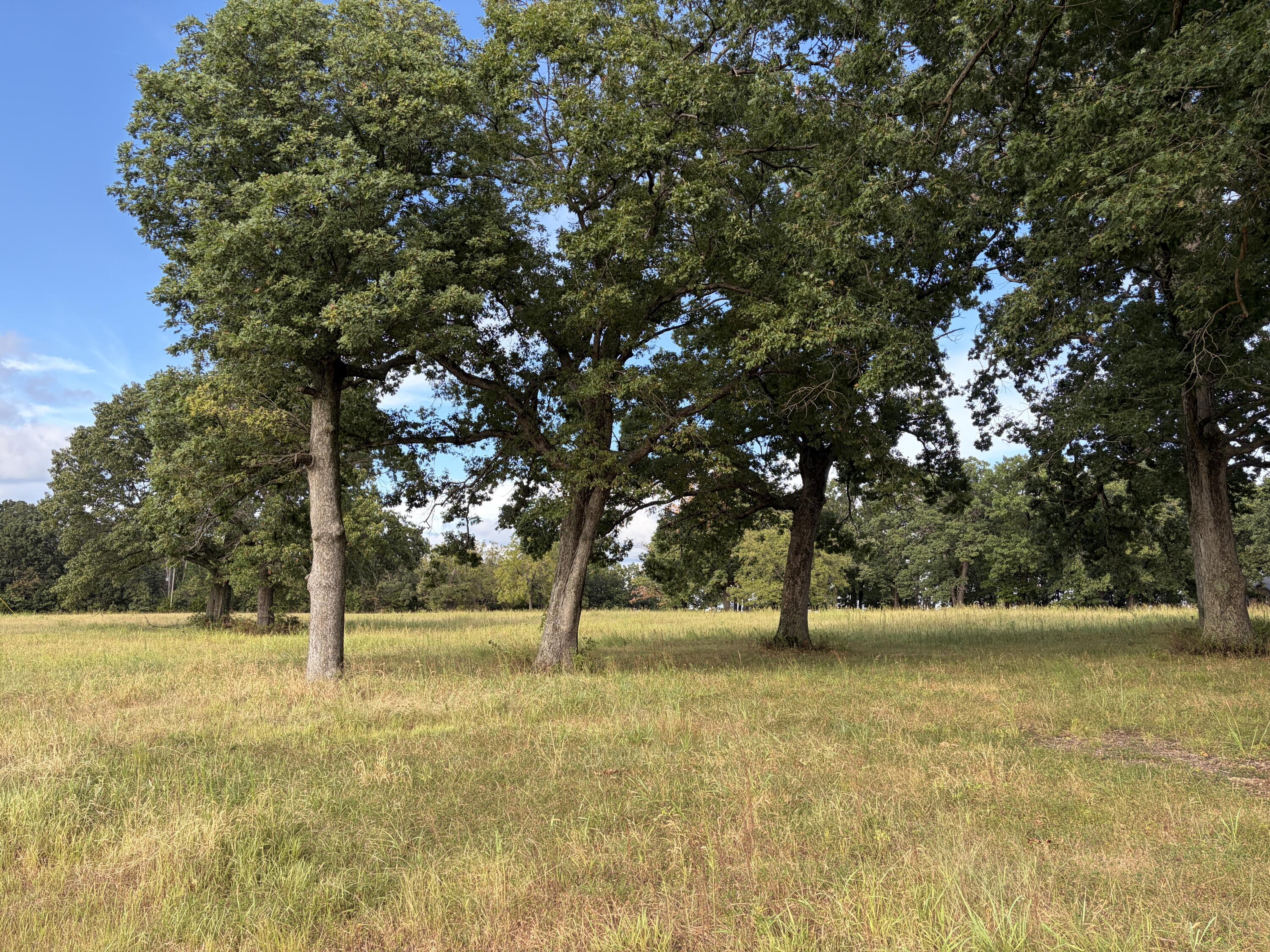 Photo 4 - Land for sale – 006 S 1481 Road  Stockton, MO