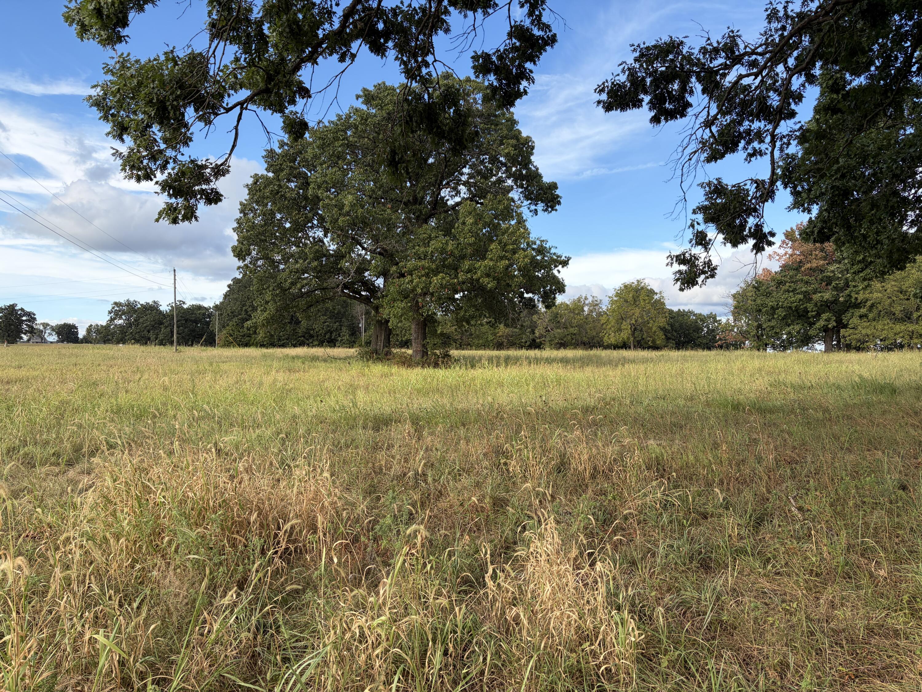 Photo 5 - Land for sale – 005 S 1481 Road  Stockton, MO