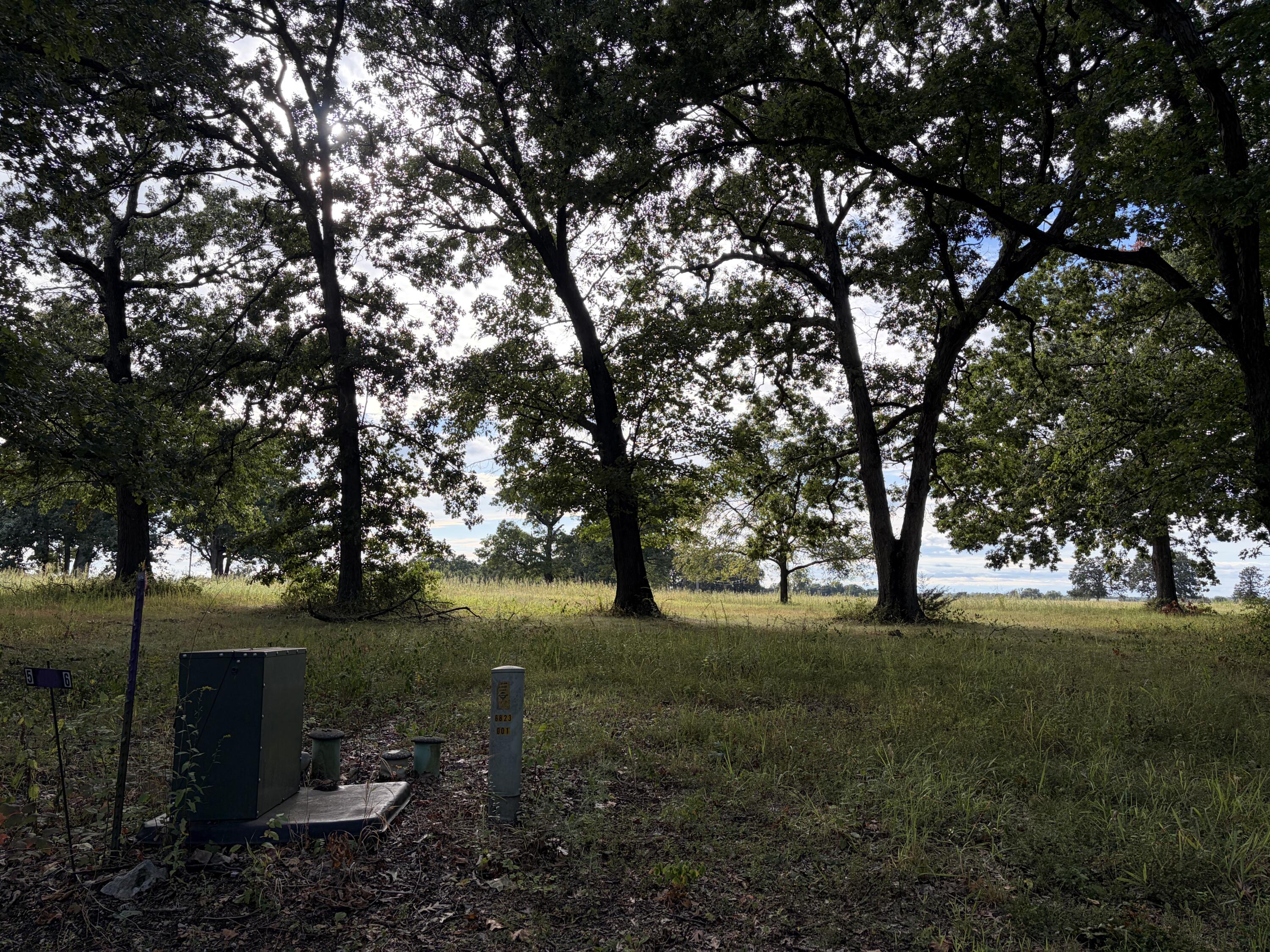 Photo 4 - Land for sale – 005 S 1481 Road  Stockton, MO