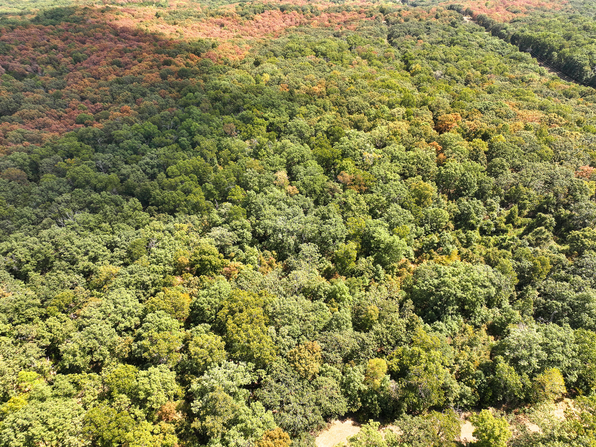 Photo 3 - Land for sale – Tbd  Anne Drive  Edwards, MO