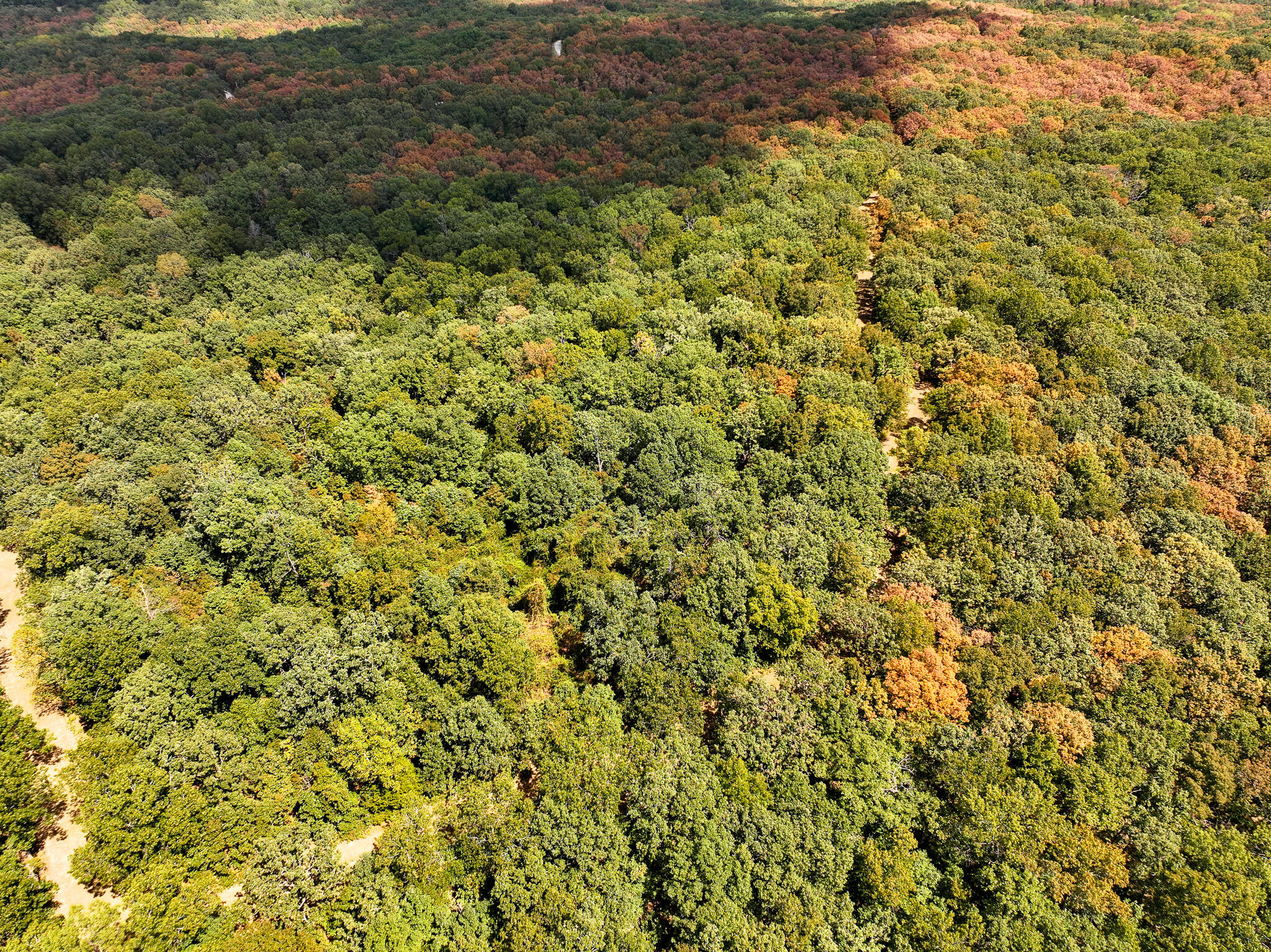 Photo 2 - Land for sale – Tbd  Anne Drive  Edwards, MO